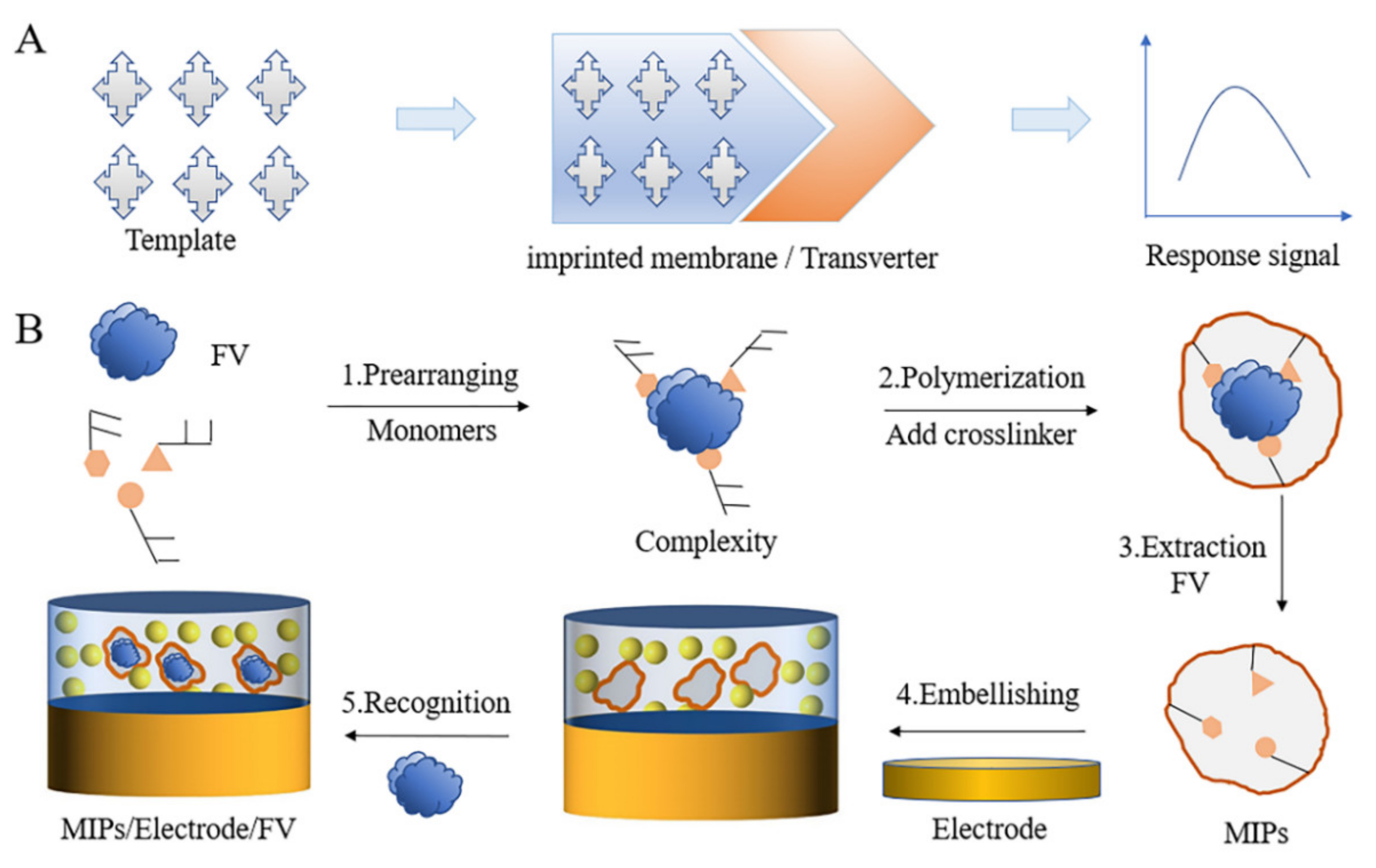 Biosensors 12 00221 g006 550