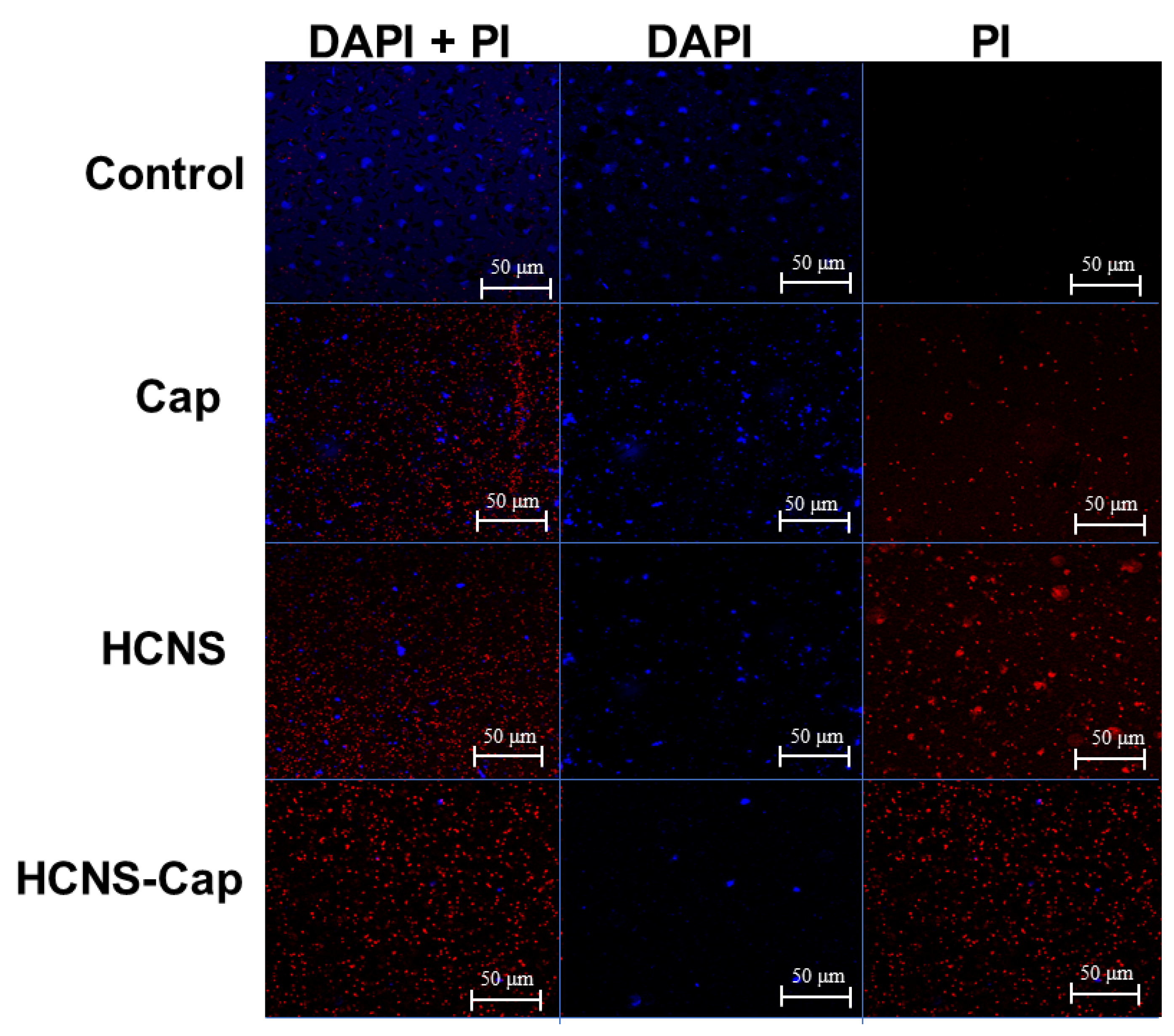Biosensors 12 00228 g007