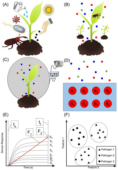 Review of Gravimetric Sensing of Volatile Organic Compounds