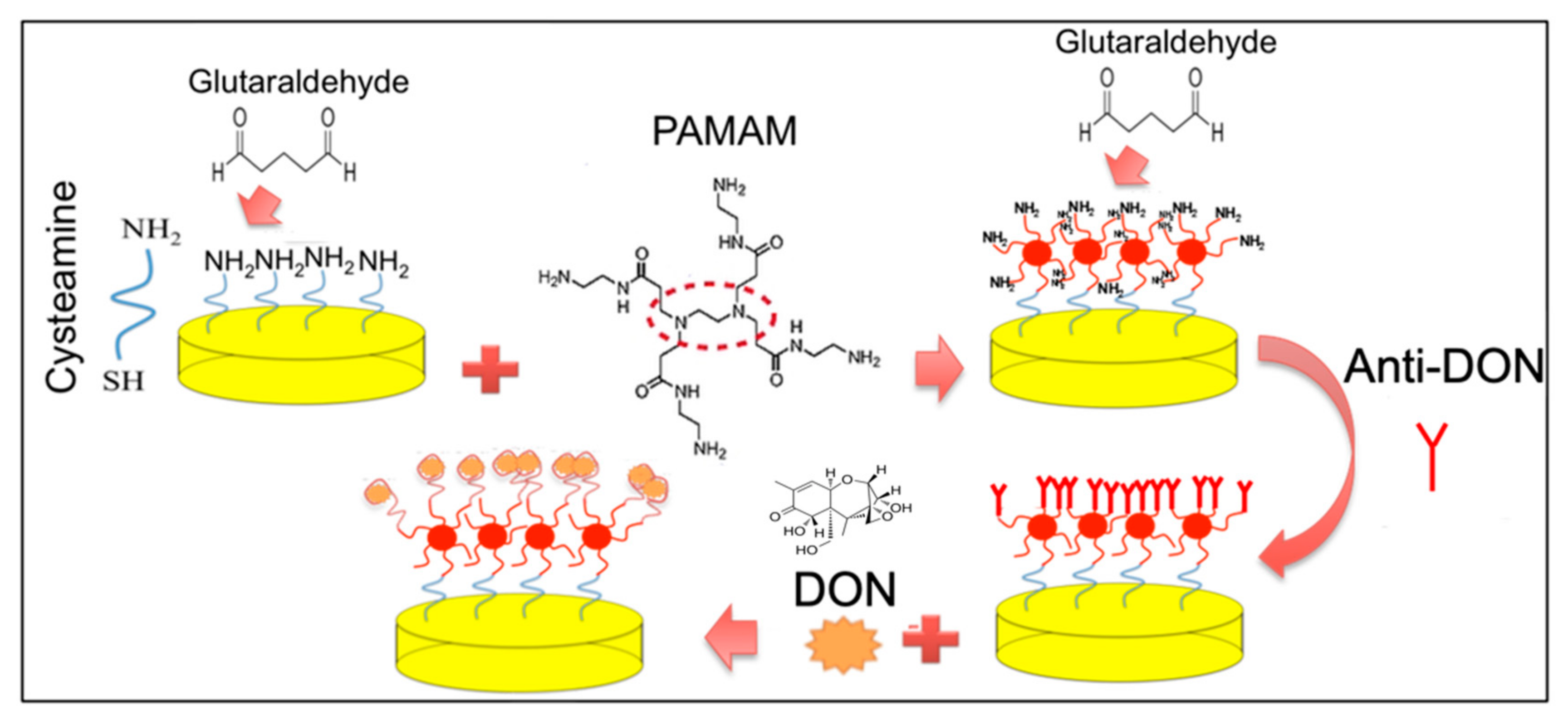 Biosensors 12 00240 g001 550