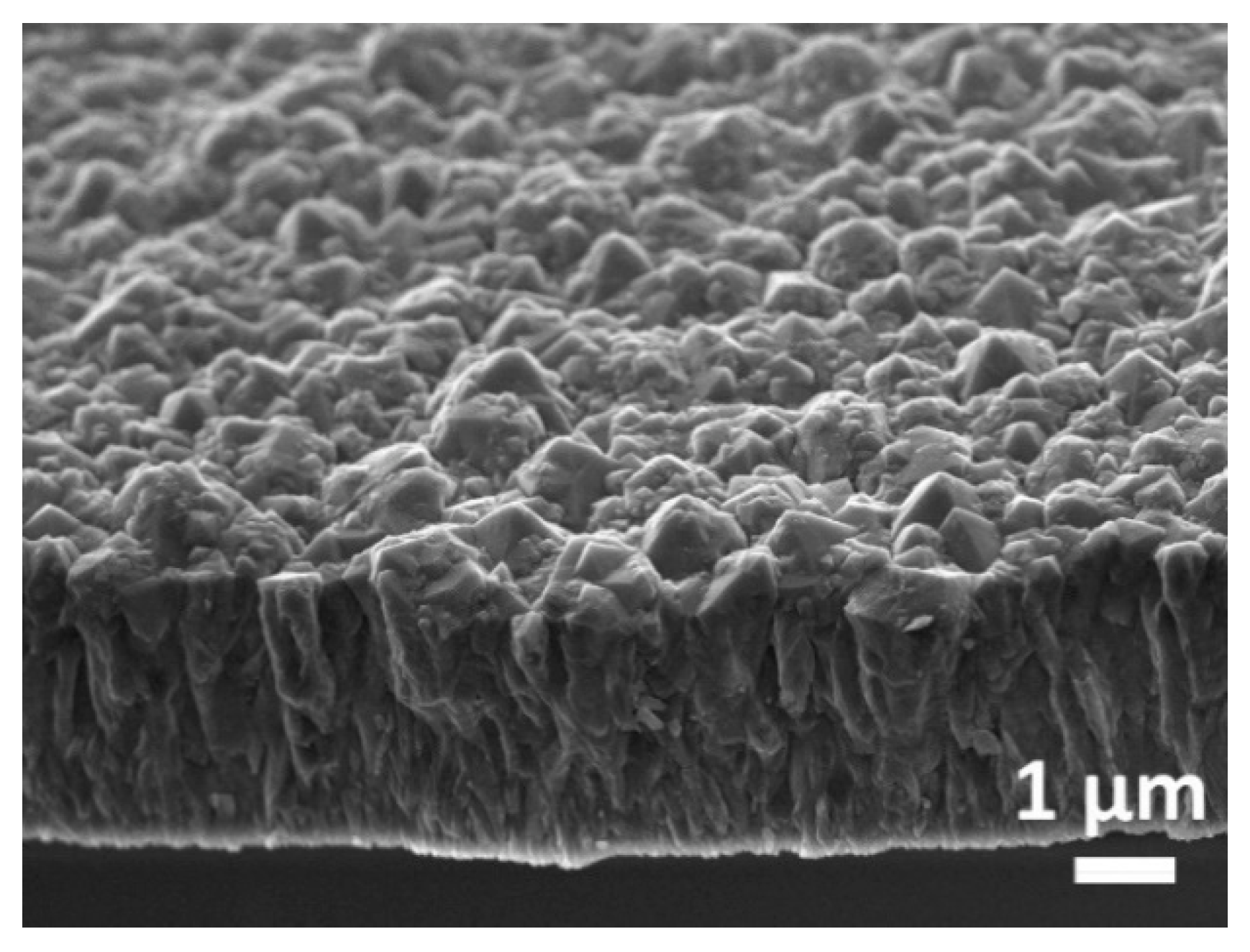 Biosensors 12 00241 g001