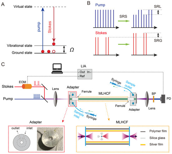 Fiber-Enhanced Stimulated Raman Scattering and Sensitive