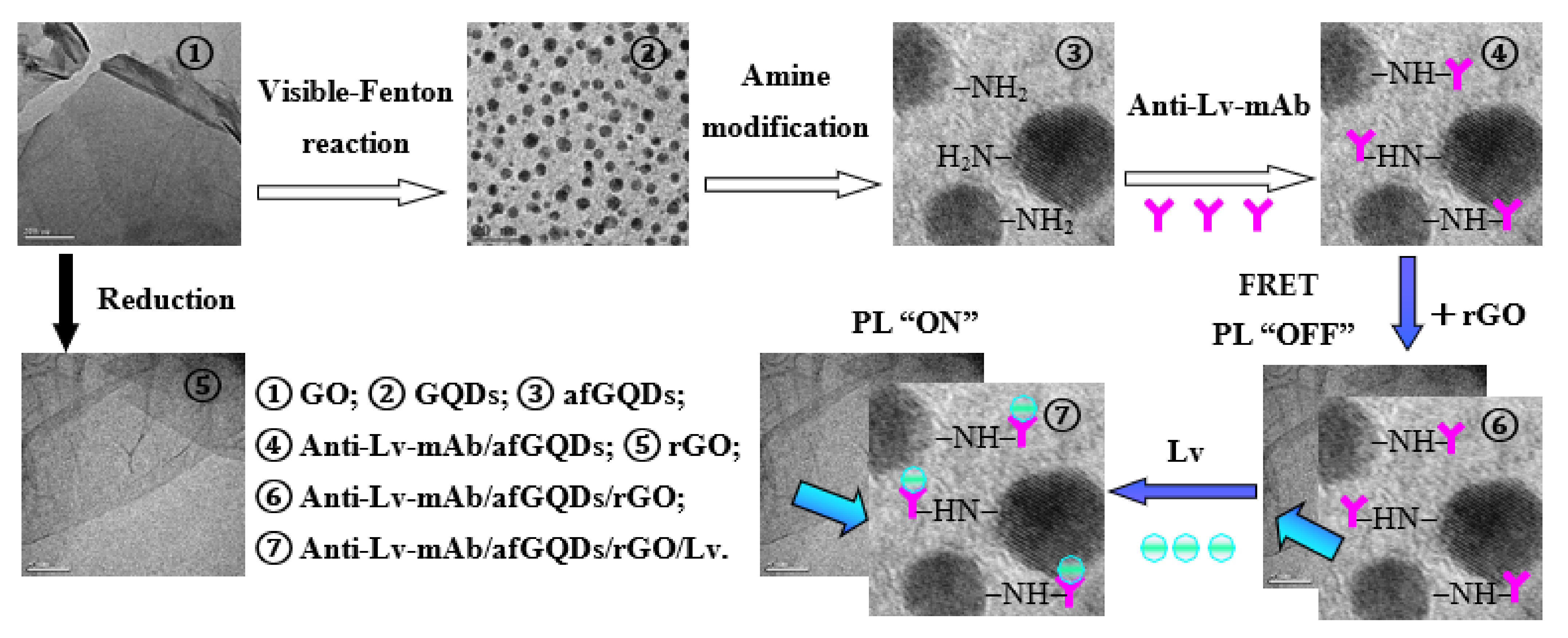 Biosensors 12 00246 sch001