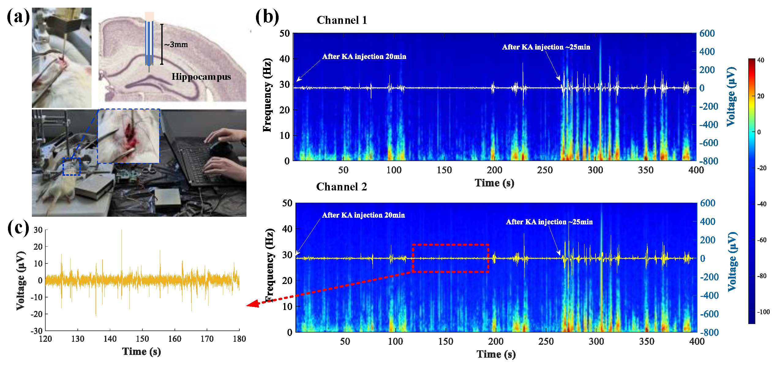 Biosensors 12 00247 g004 550