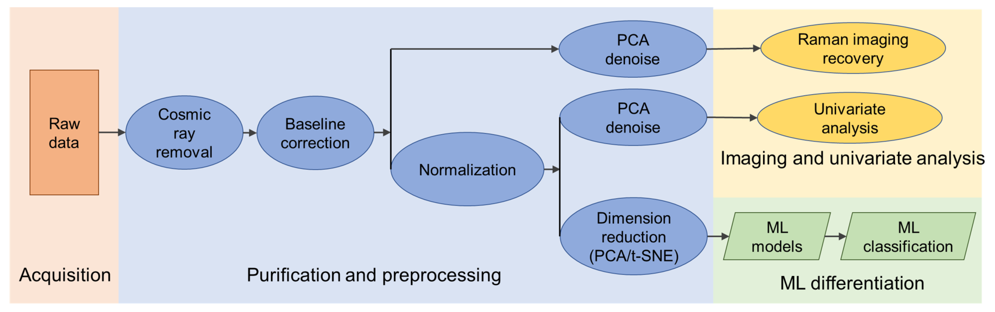 Biosensors 12 00250 g001 Biosensors 12 00250 g001