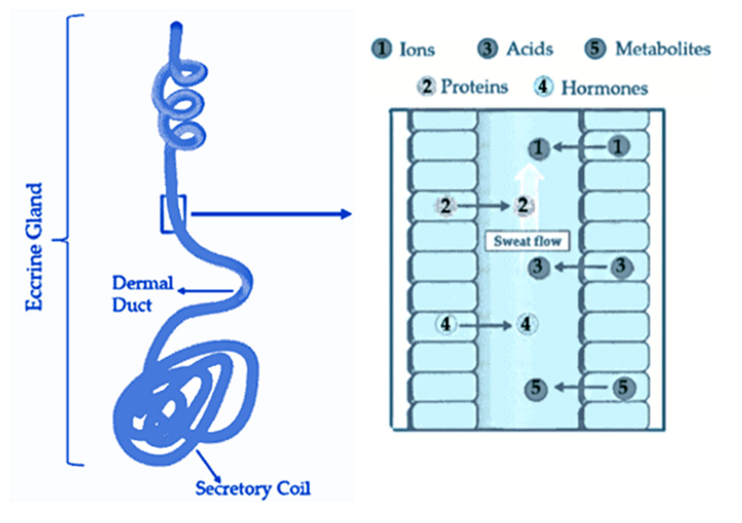 Biosensors 12 00252 g001 550
