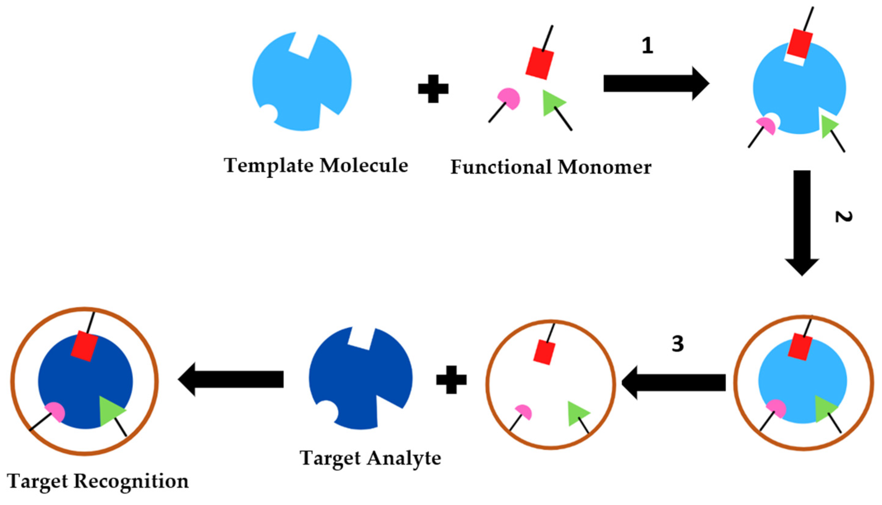 Biosensors 12 00252 g008 550