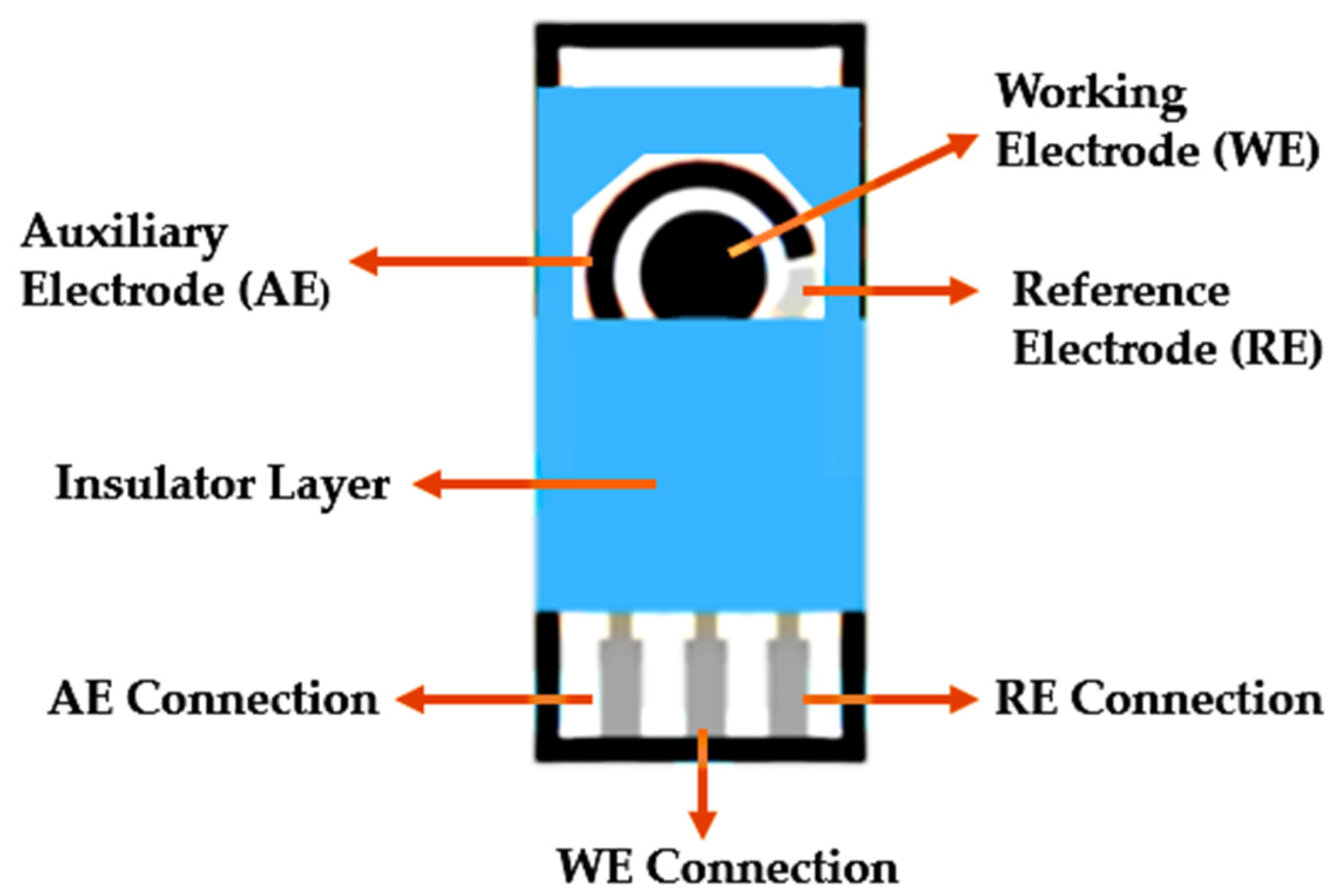 Biosensors 12 00252 g009 550