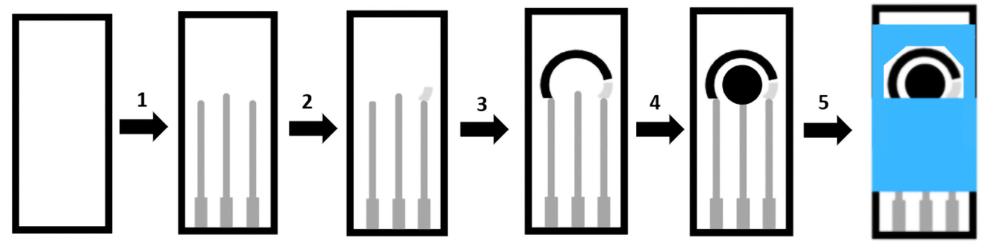 Biosensors 12 00252 g010 550