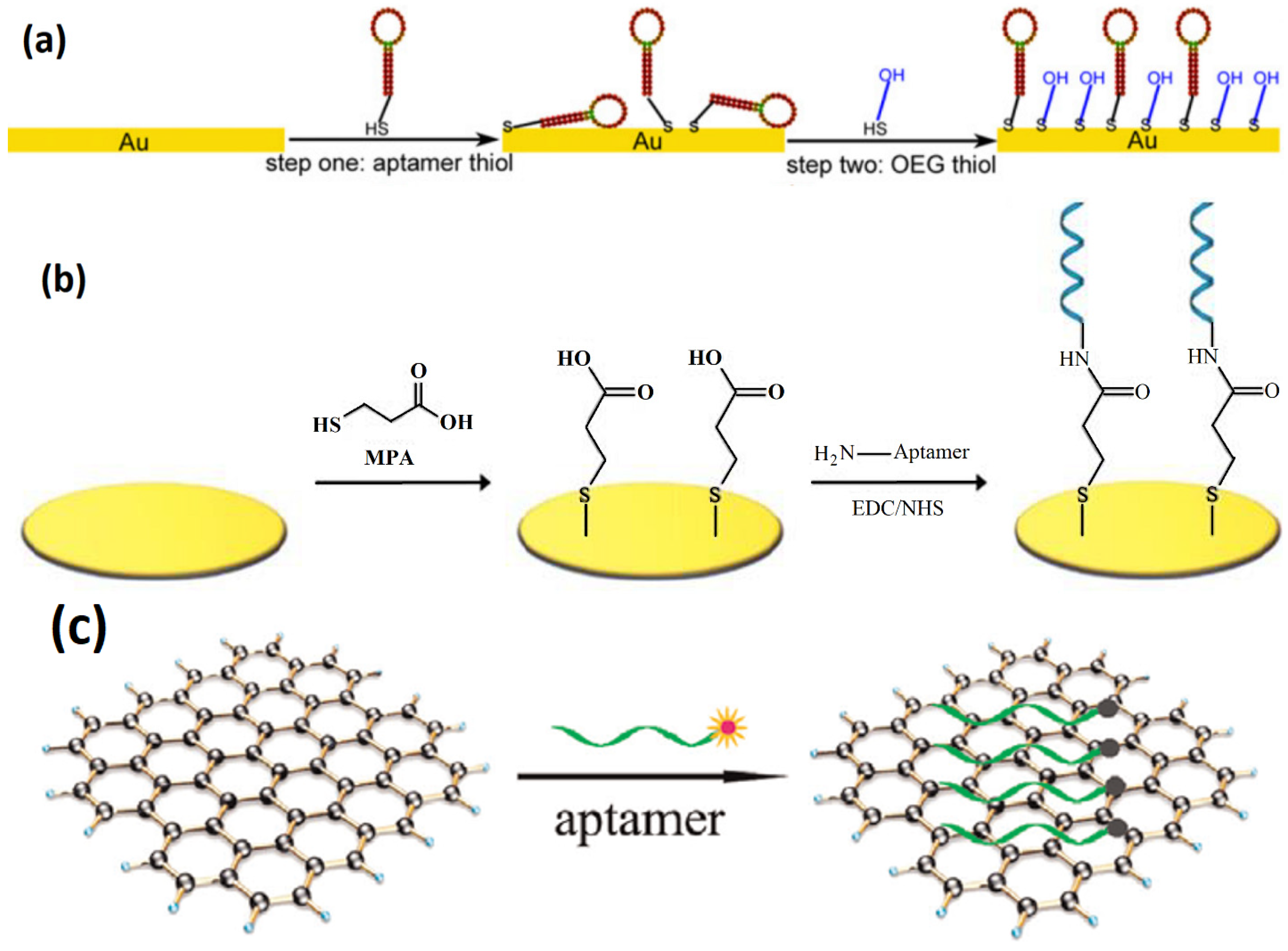 Biosensors 12 00253 g004
