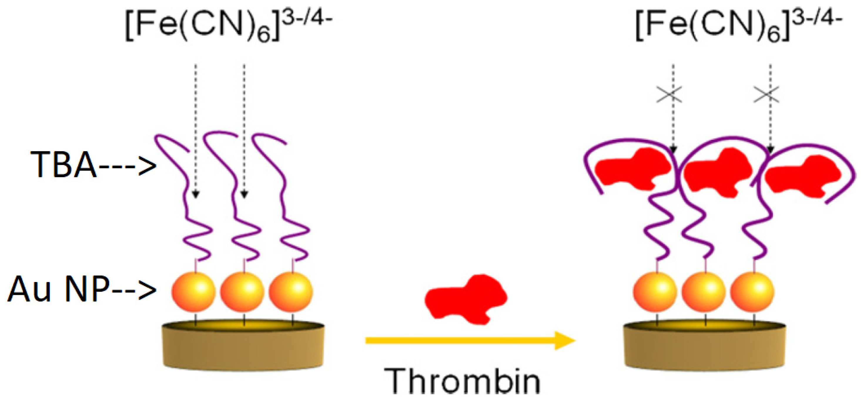 Biosensors 12 00253 g005
