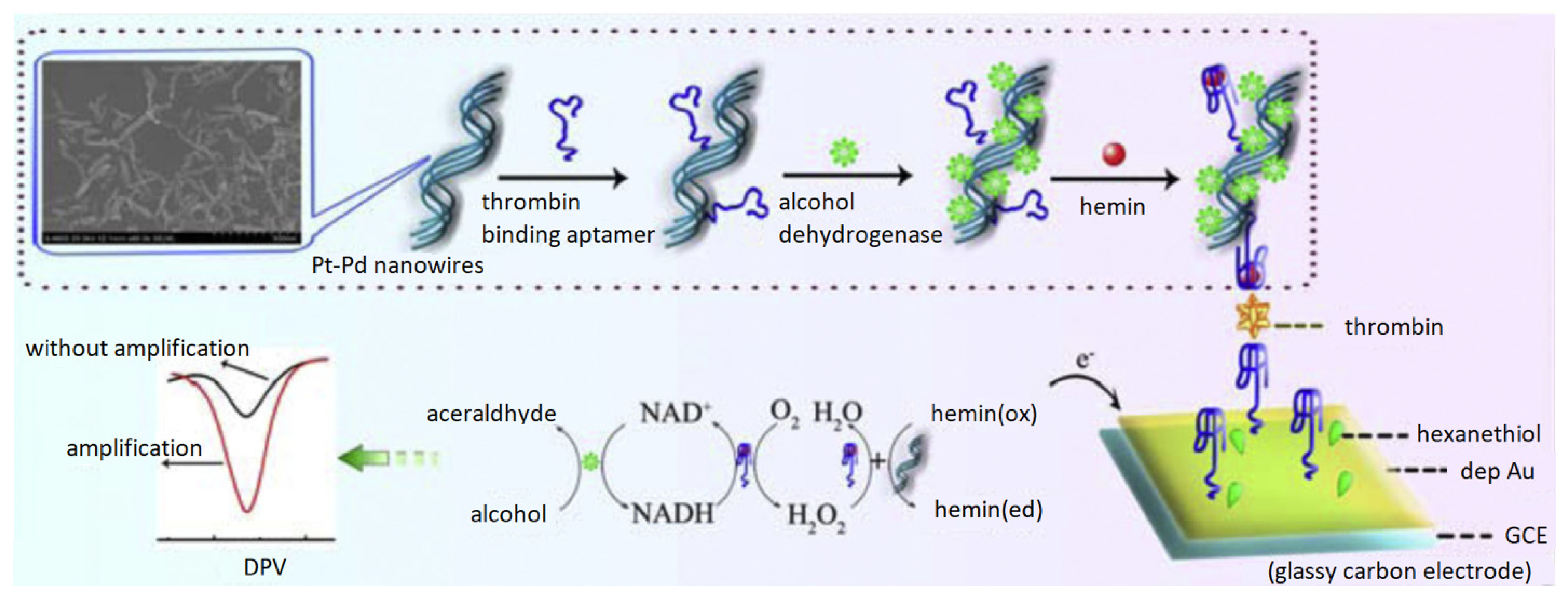 Biosensors 12 00253 g006