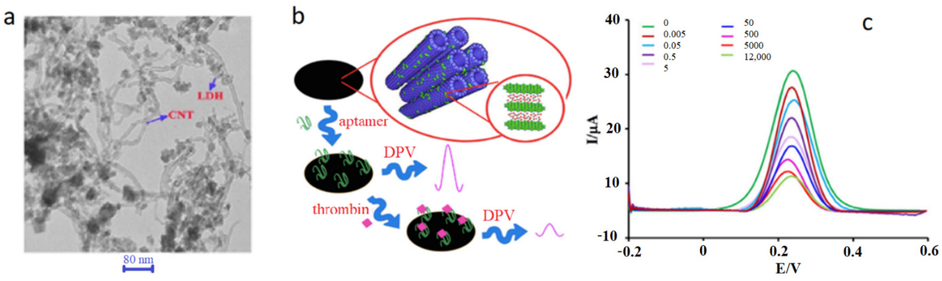 Biosensors 12 00253 g008