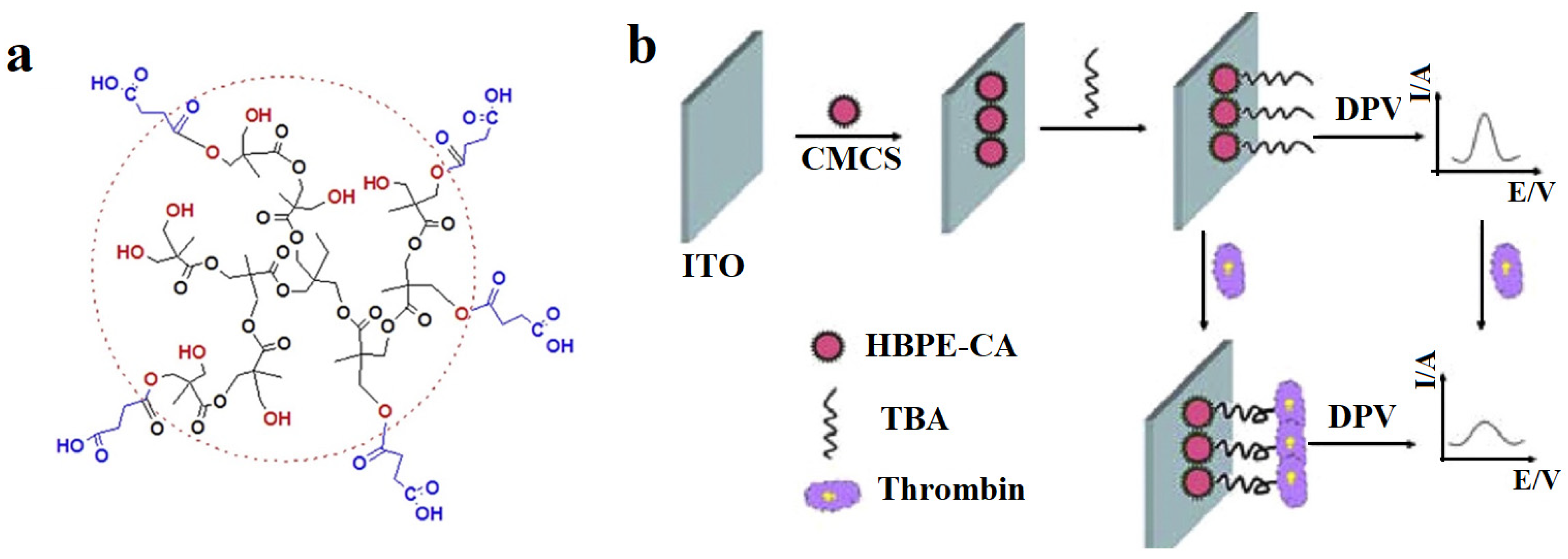 Biosensors 12 00253 g010