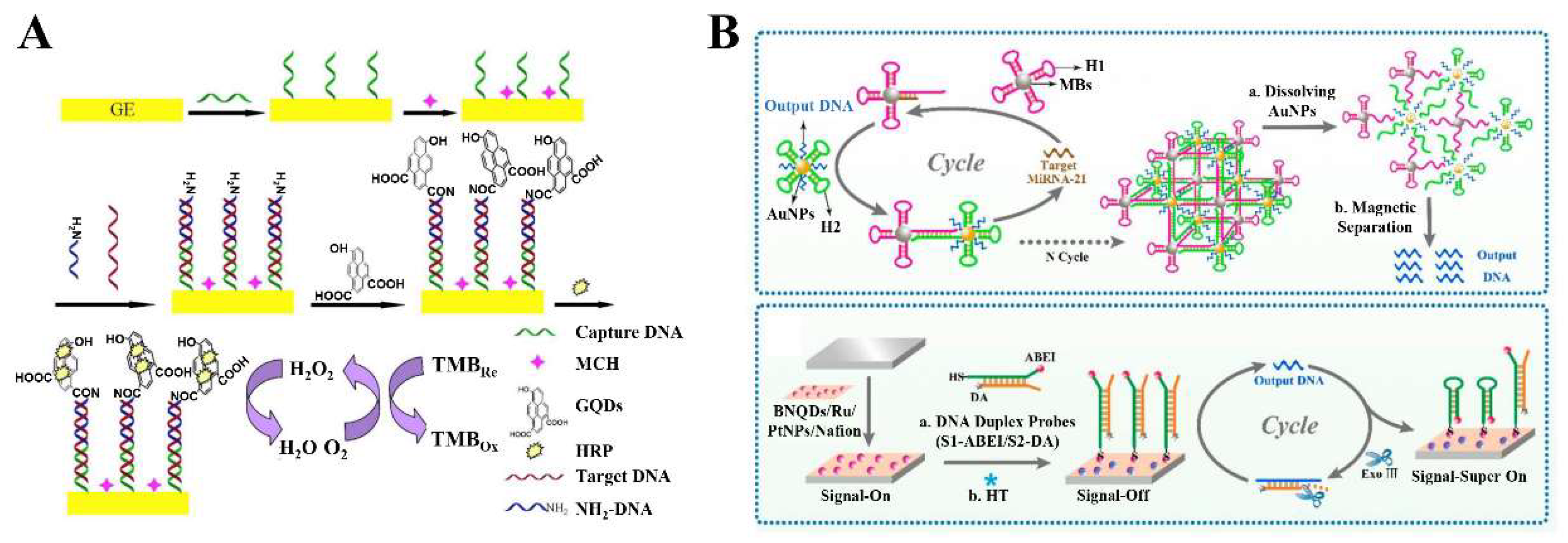 Biosensors 12 00254 g002 550
