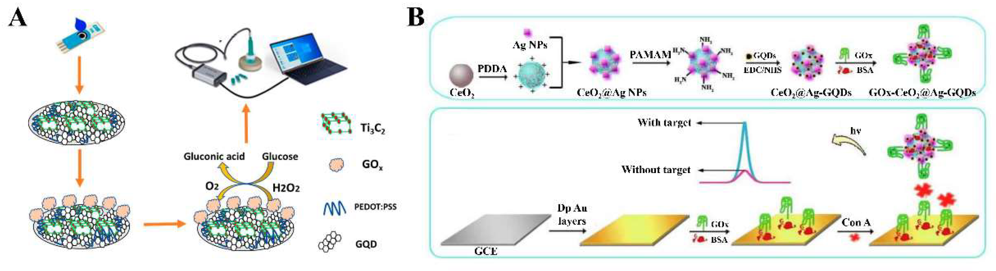 Biosensors 12 00254 g004 550