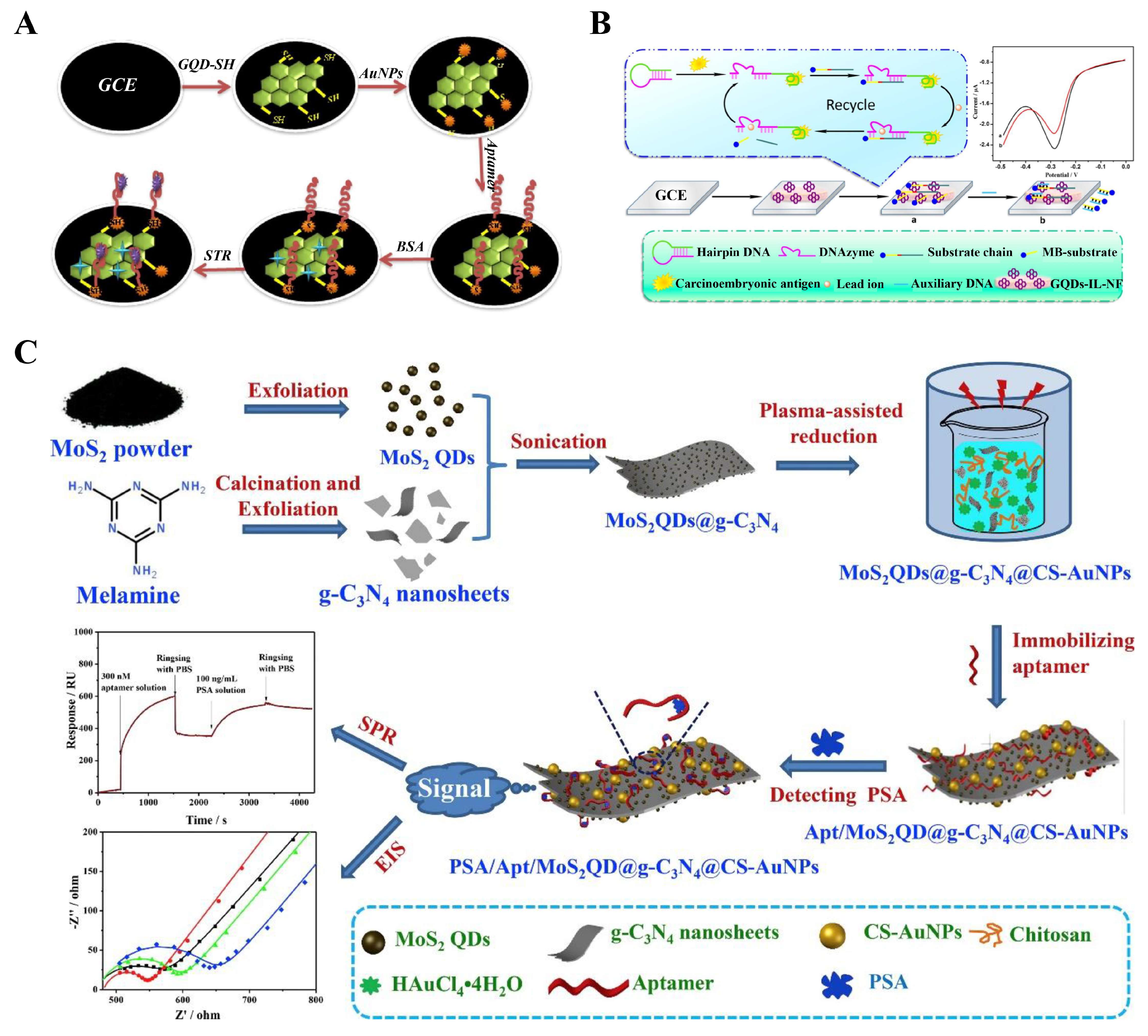 Biosensors 12 00254 g005 550