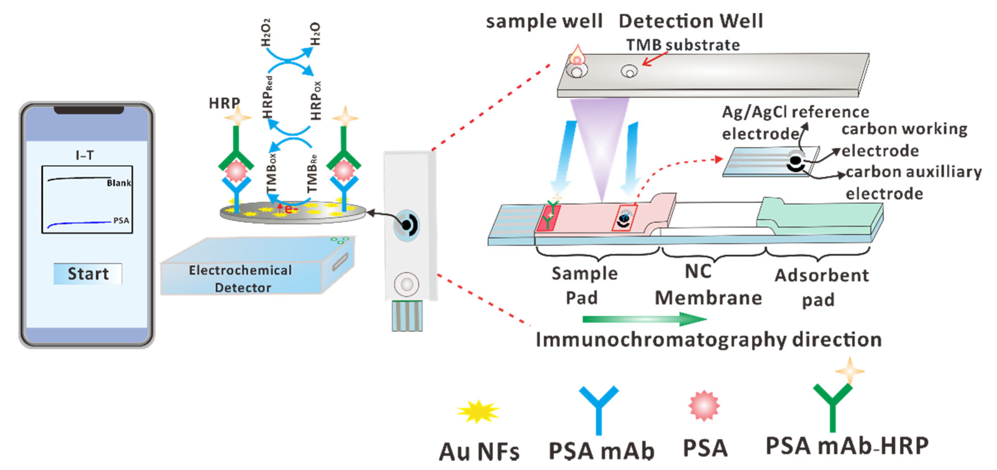 Biosensors 12 00259 sch001