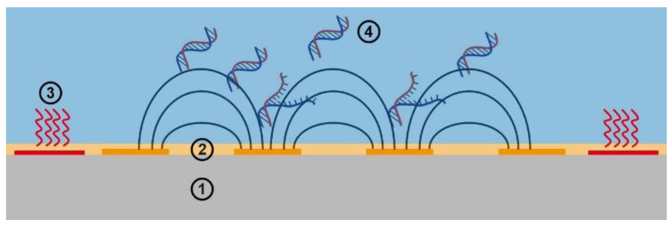 Biosensors 12 00261 g001 550