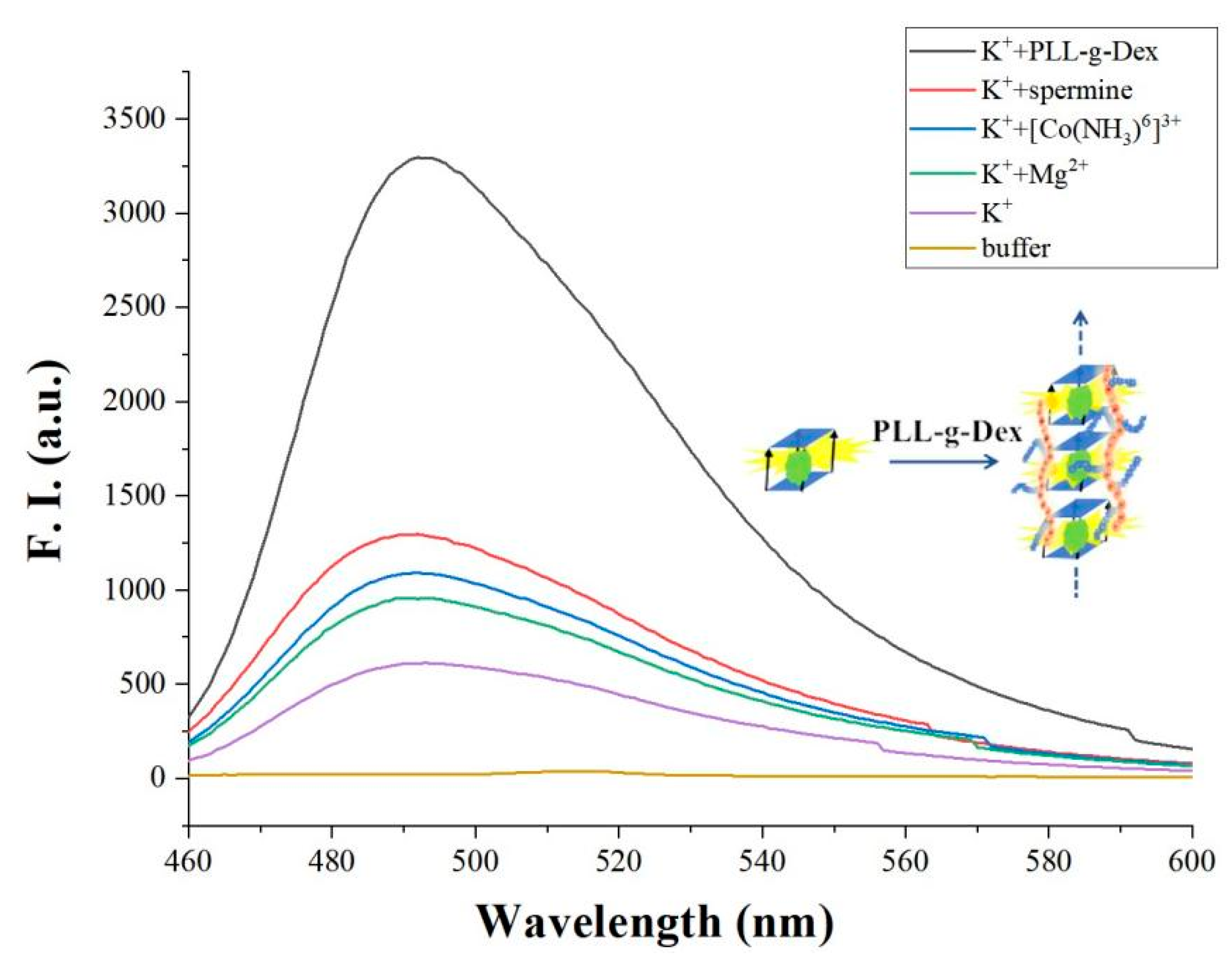 Biosensors 12 00262 g003