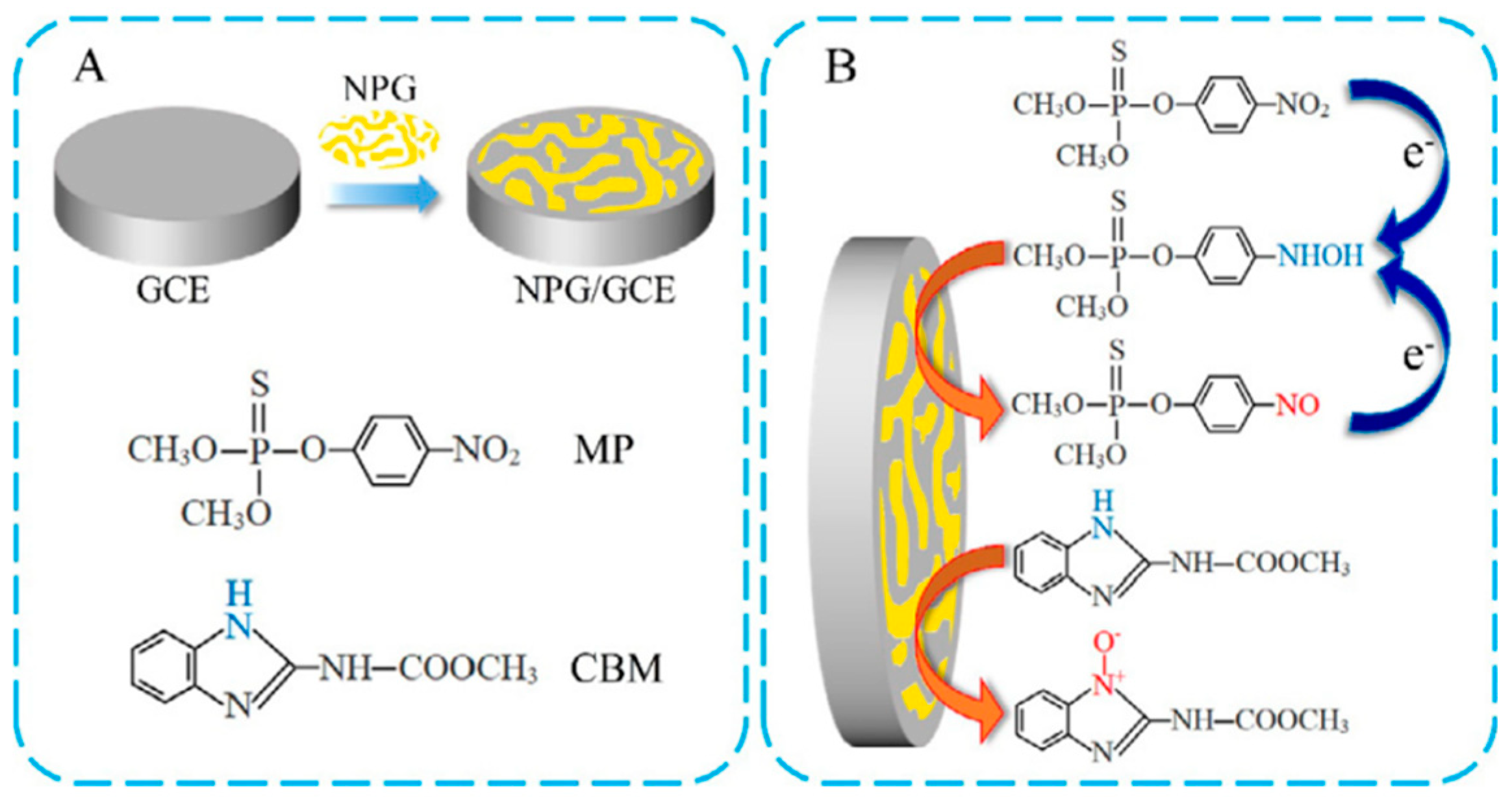 Biosensors 12 00263 g002
