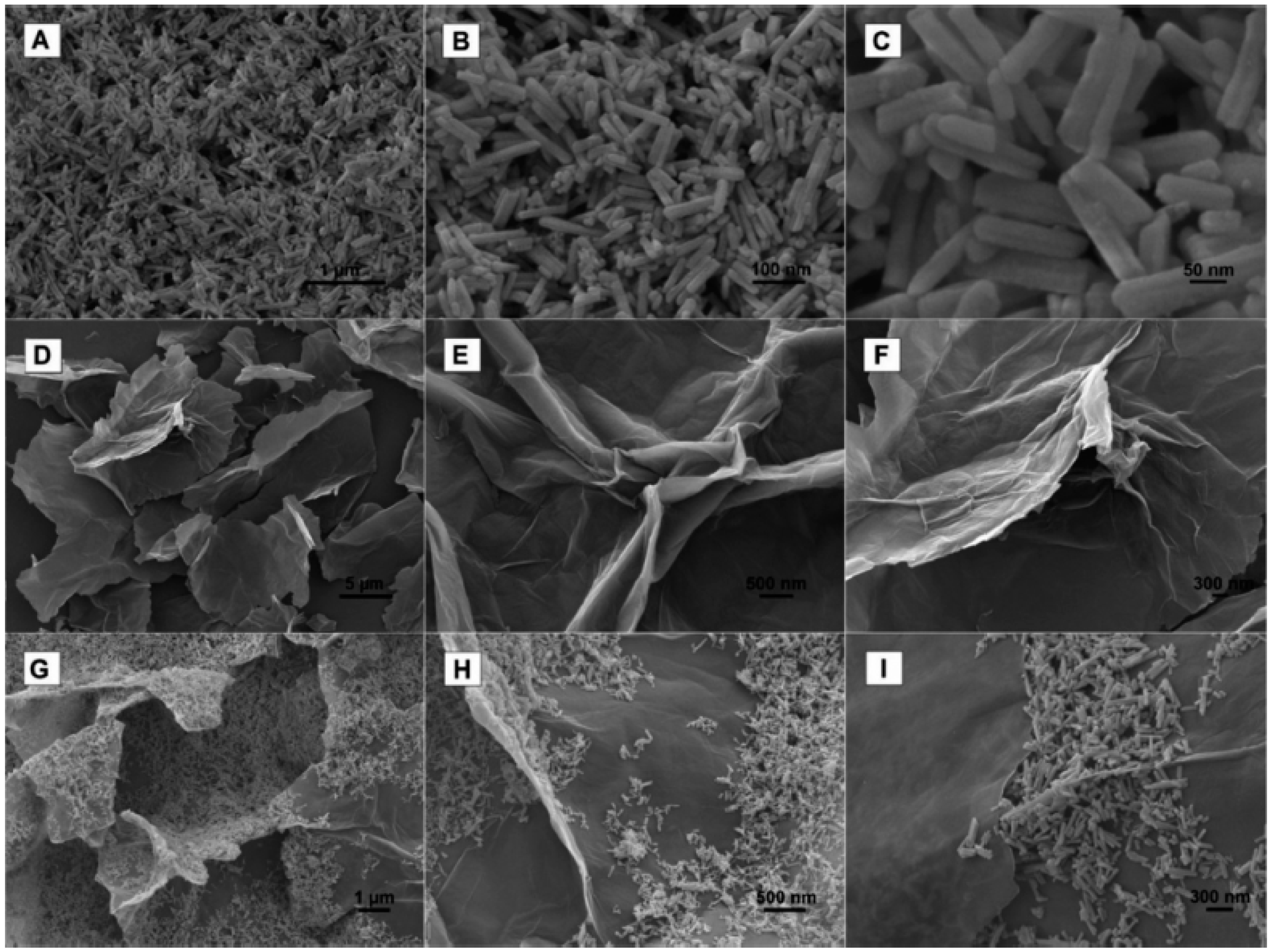 Biosensors 12 00263 g003