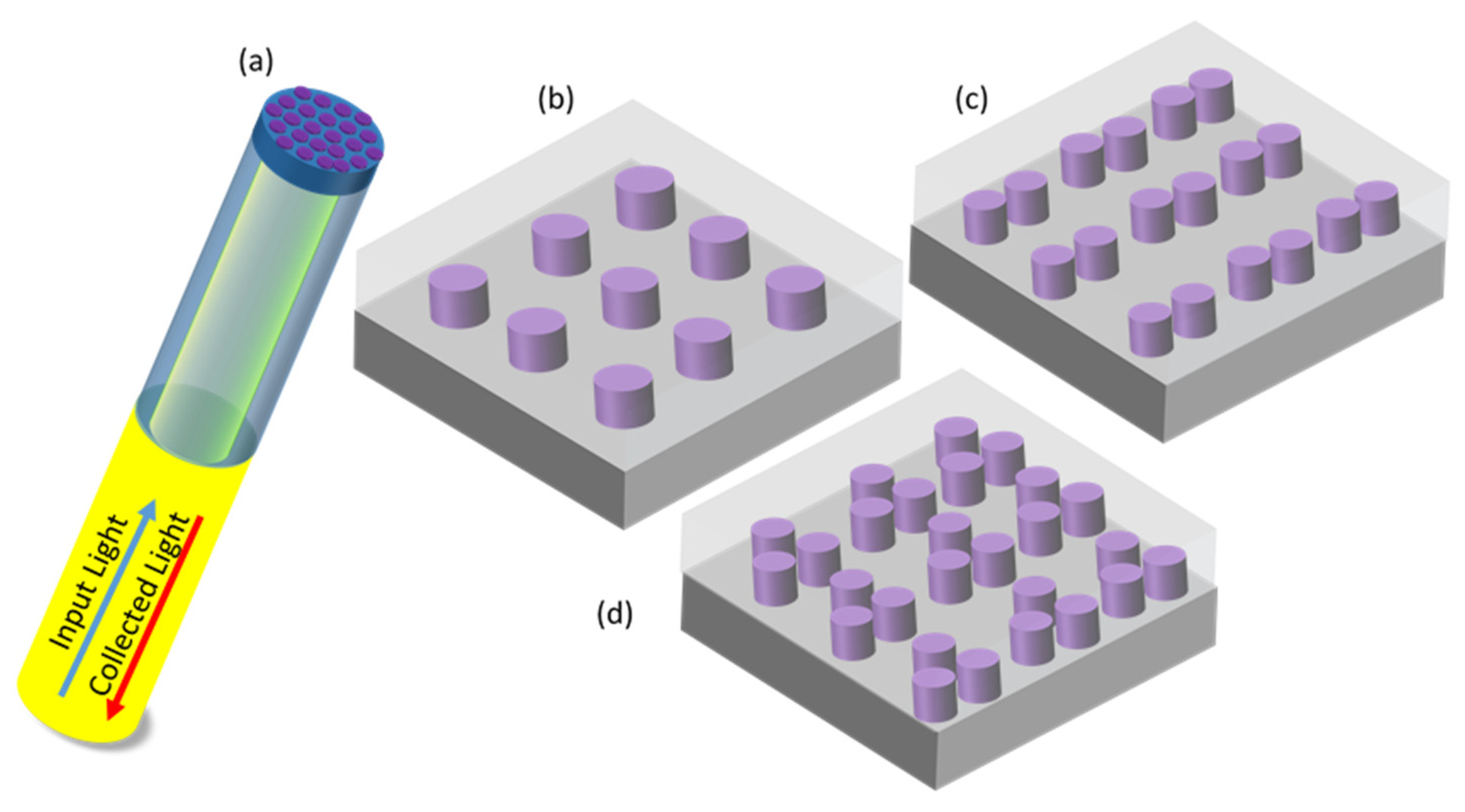 Biosensors 12 00264 g001 550