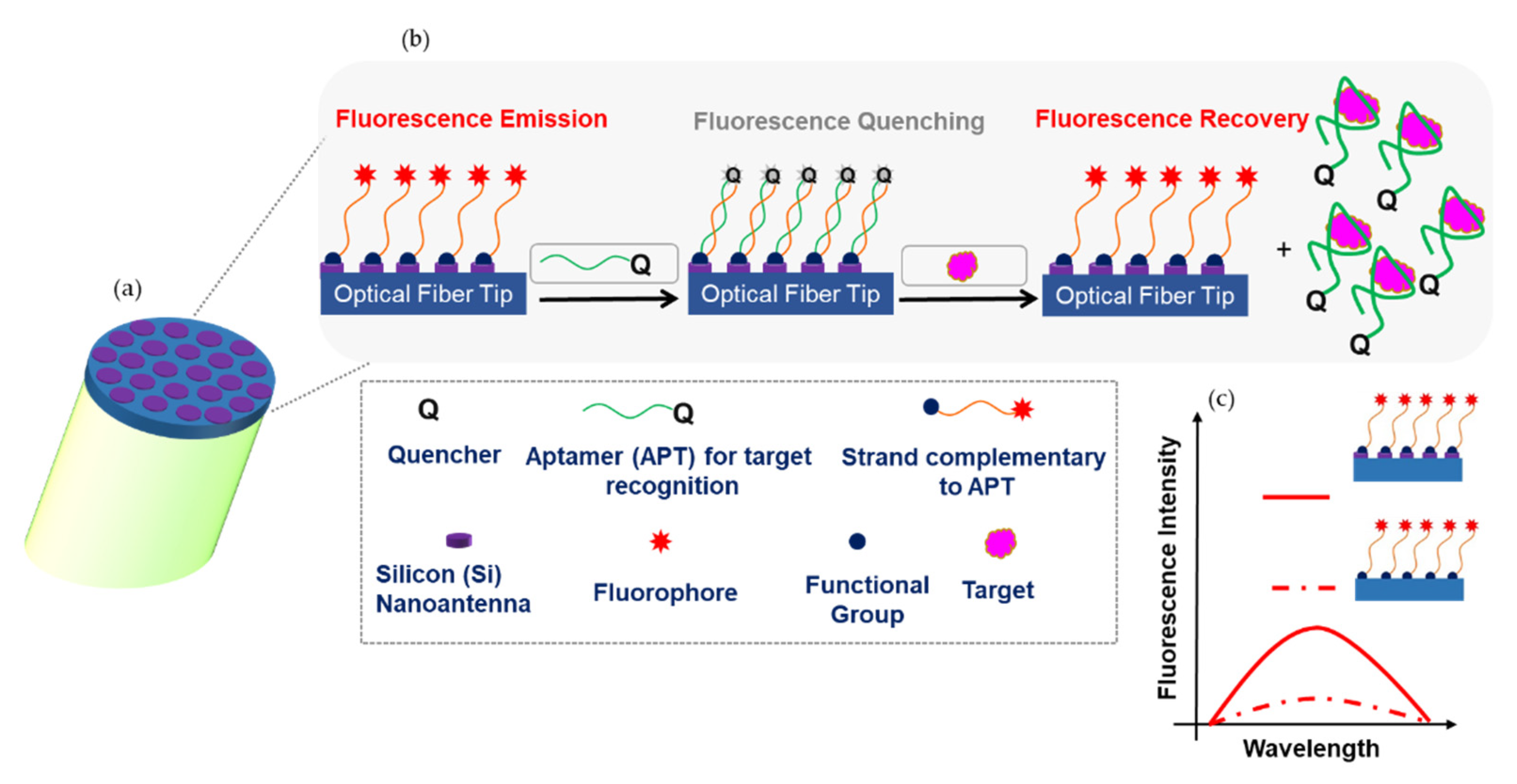 Biosensors 12 00264 g010 550