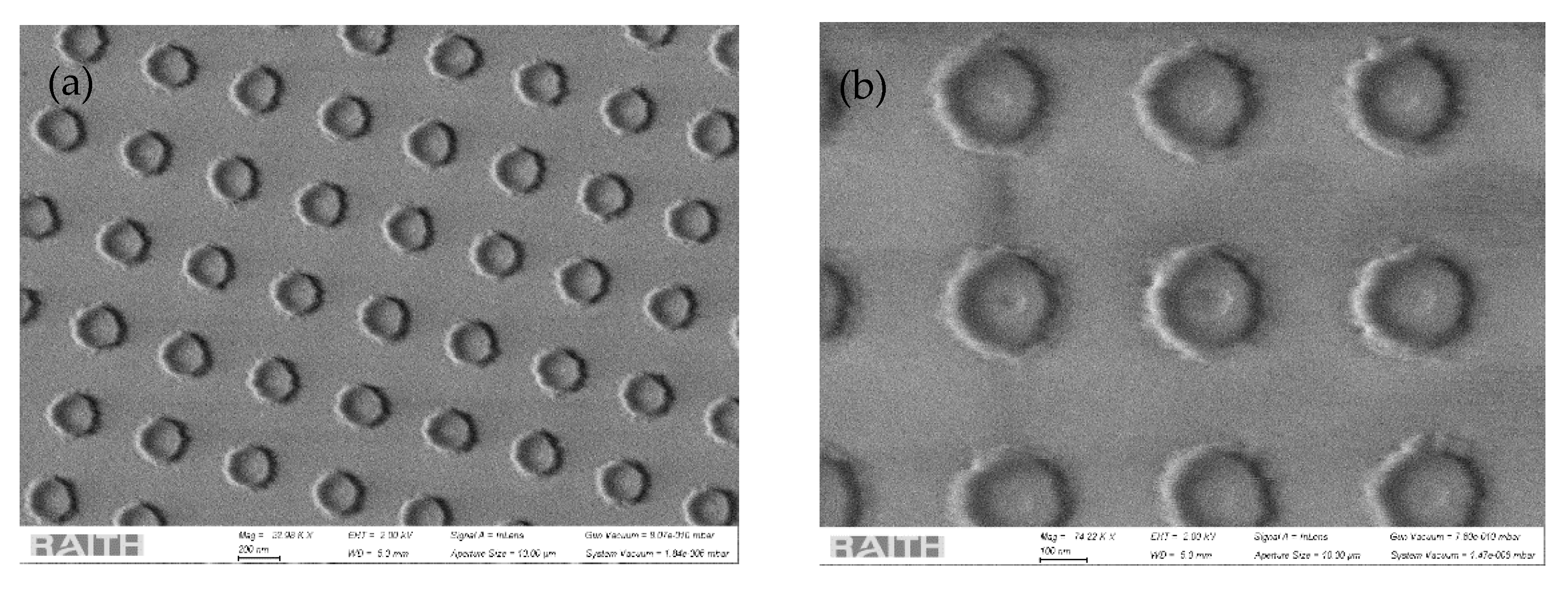 Biosensors 12 00264 g011 550