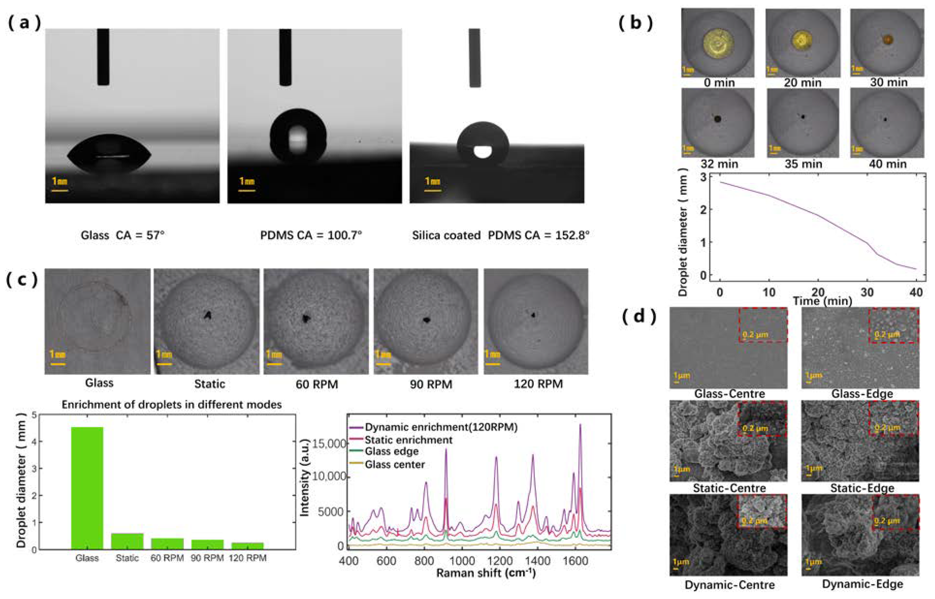 Biosensors 12 00270 g002 550