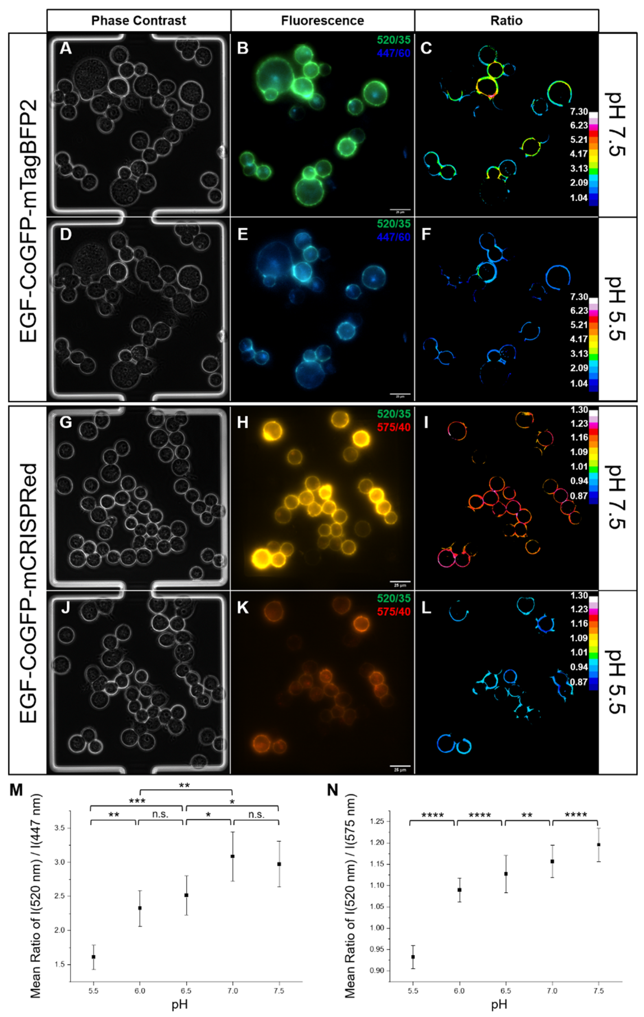 Biosensors 12 00271 g006 Biosensors 12 00271 g006
