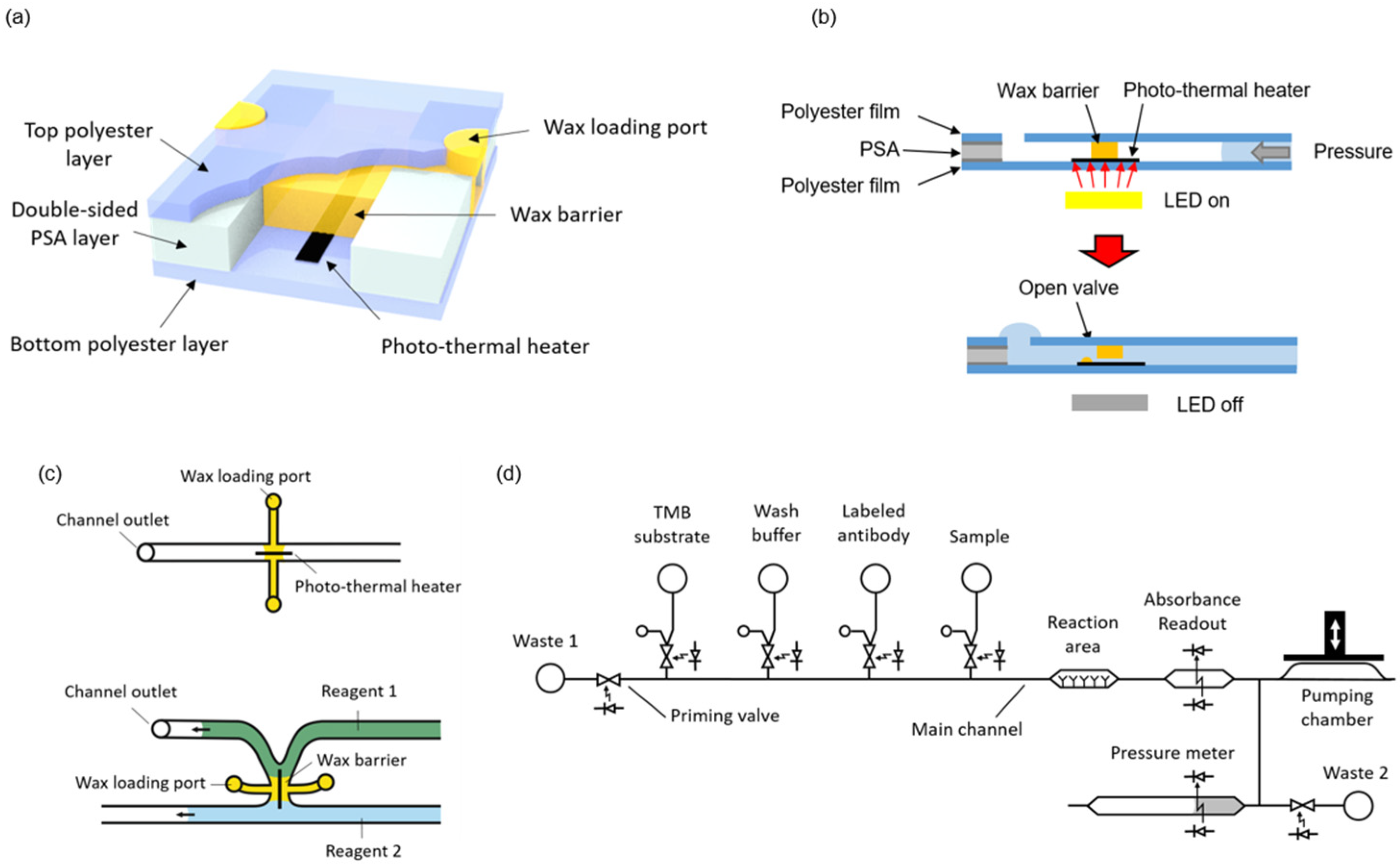 Biosensors 12 00280 g001 550
