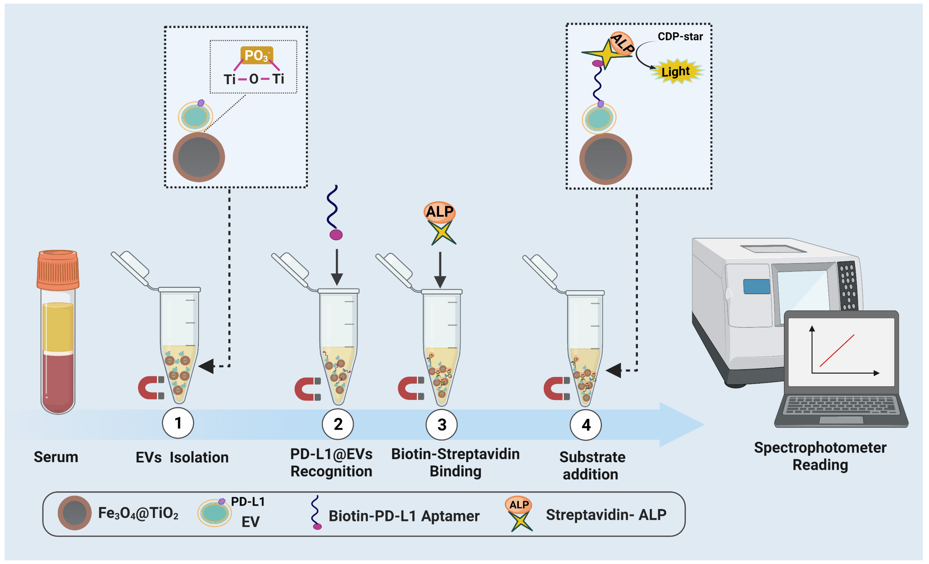 Biosensors 12 00281 g001 550