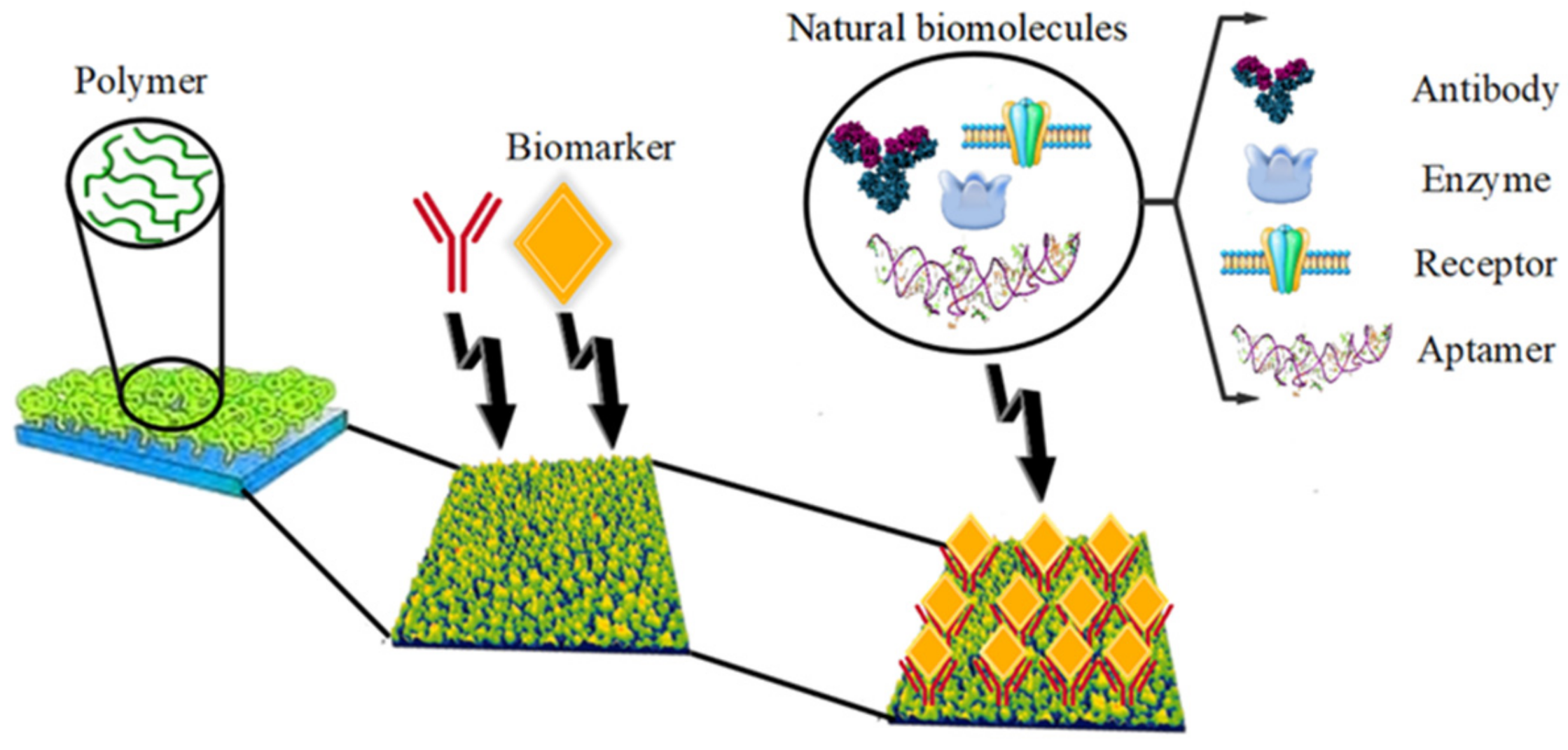 Biosensors 12 00286 g001 Biosensors 12 00286 g001
