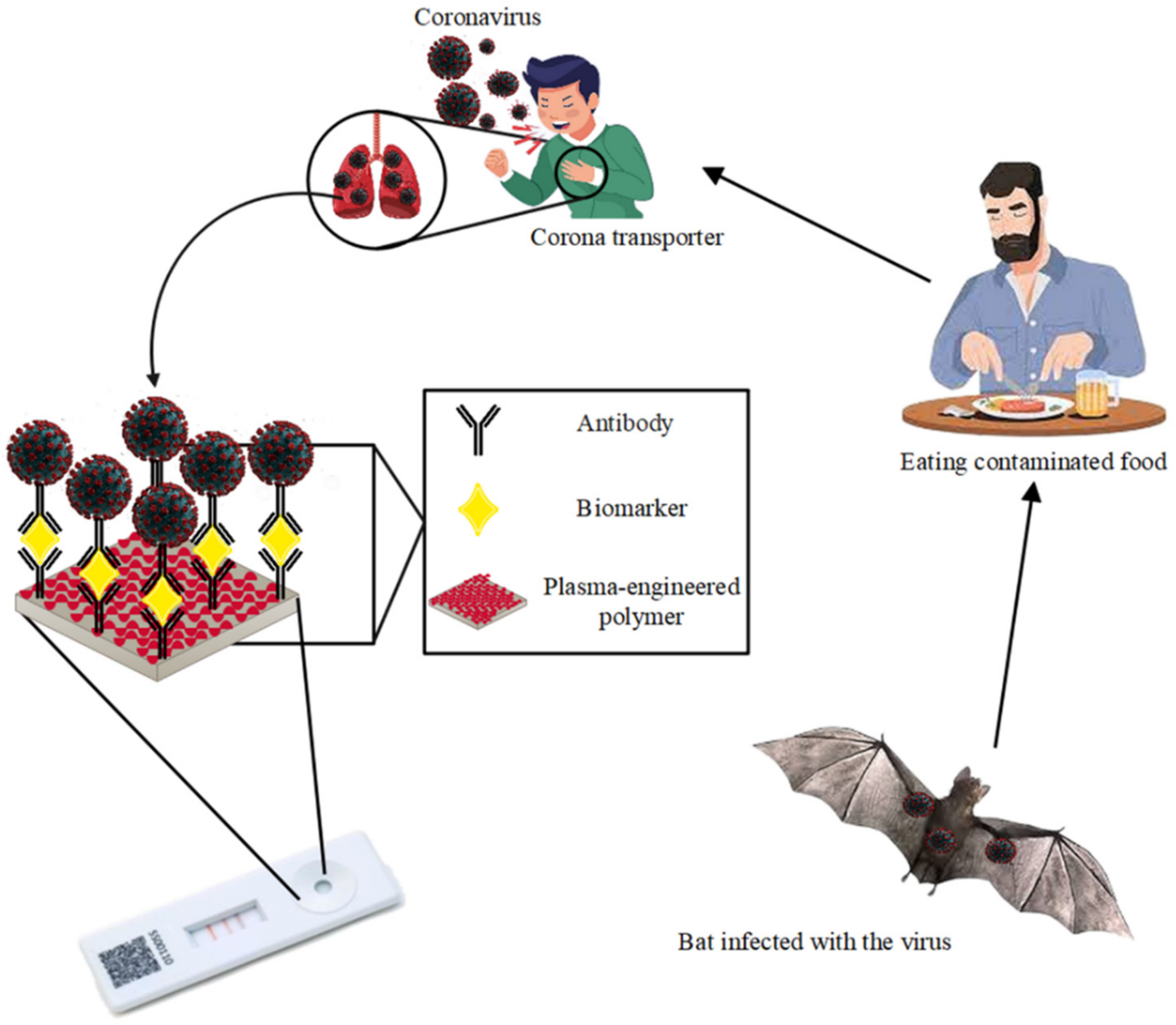 Biosensors 12 00286 g007 Biosensors 12 00286 g007