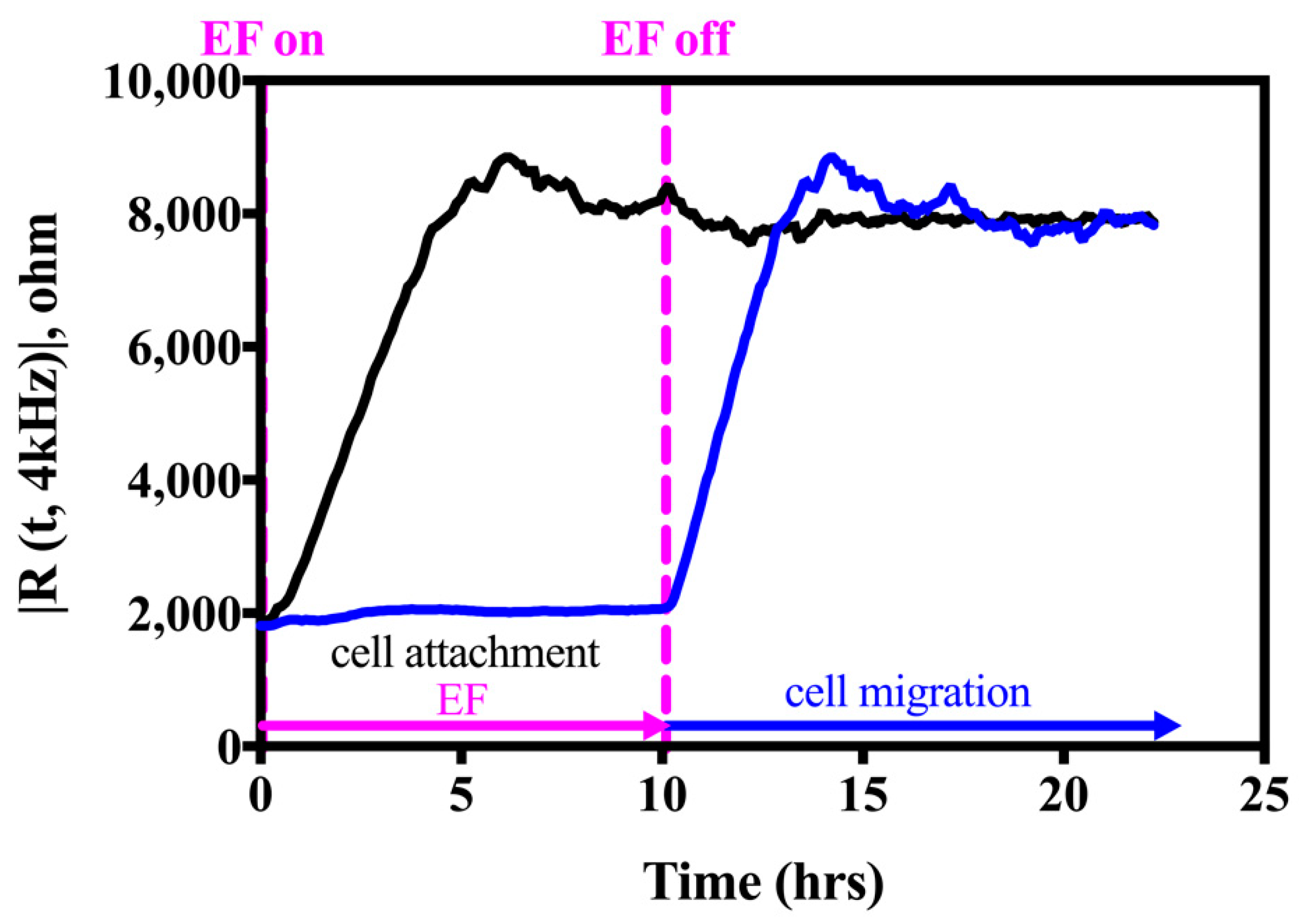 Biosensors 12 00293 g002
