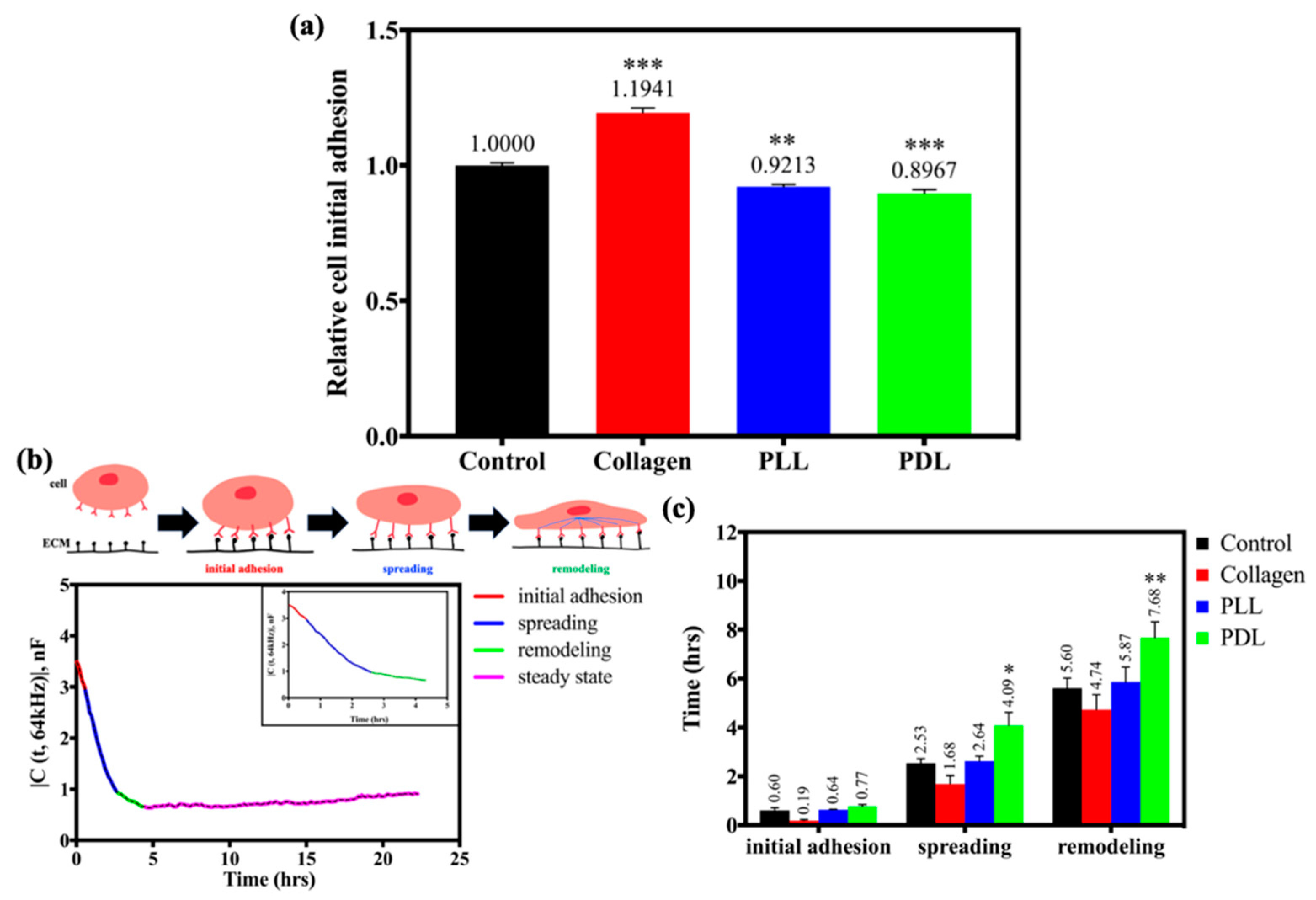 Biosensors 12 00293 g007