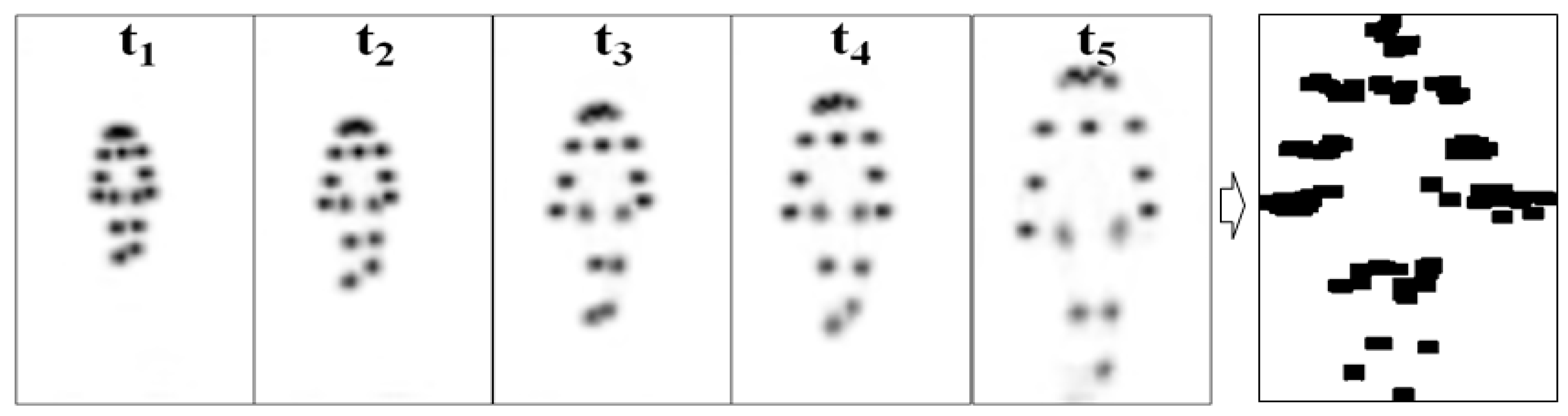 Biosensors 12 00295 g003 550