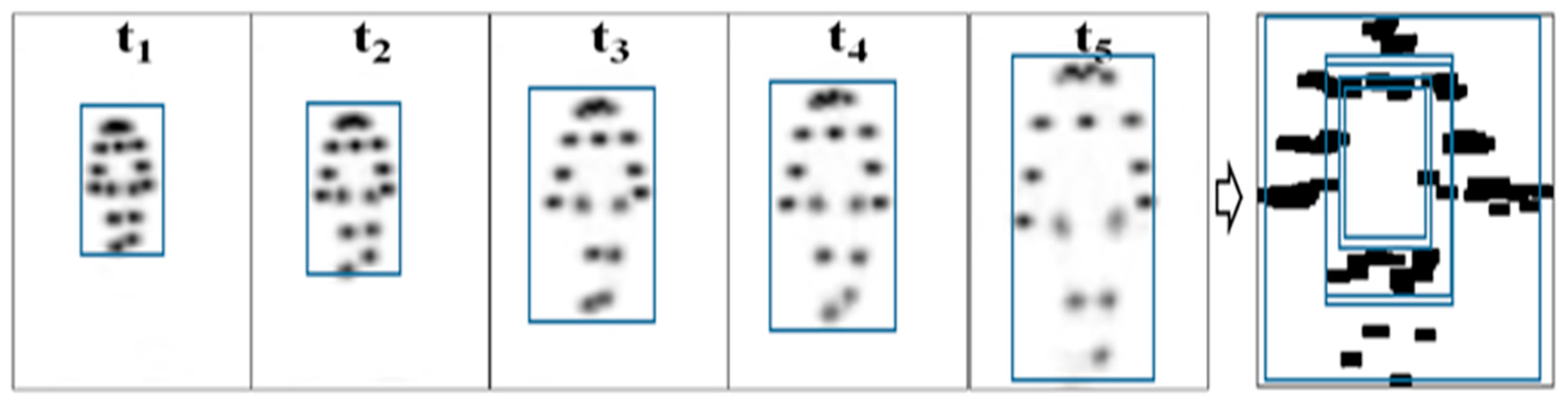 Biosensors 12 00295 g006 550