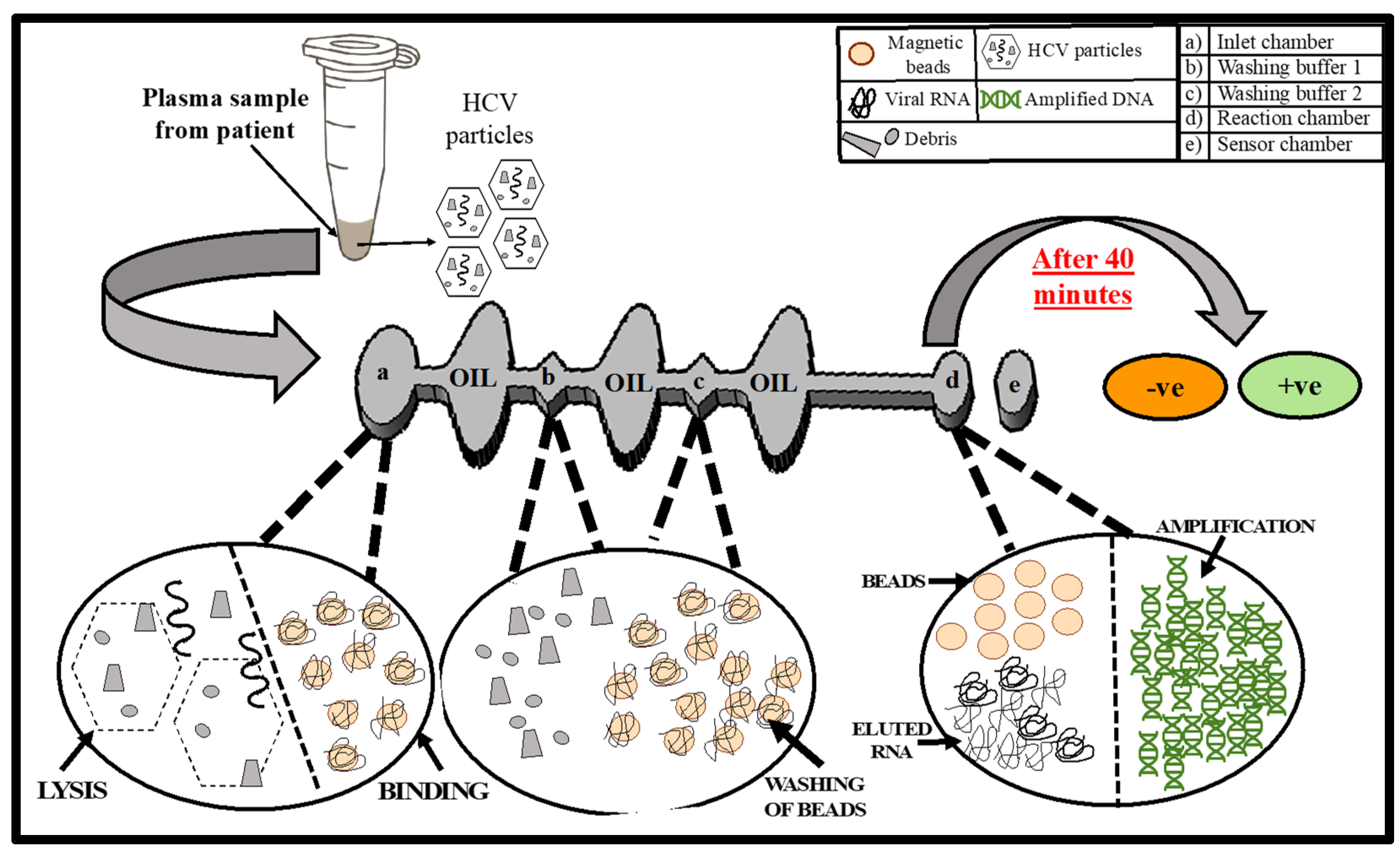 Biosensors 12 00298 g001