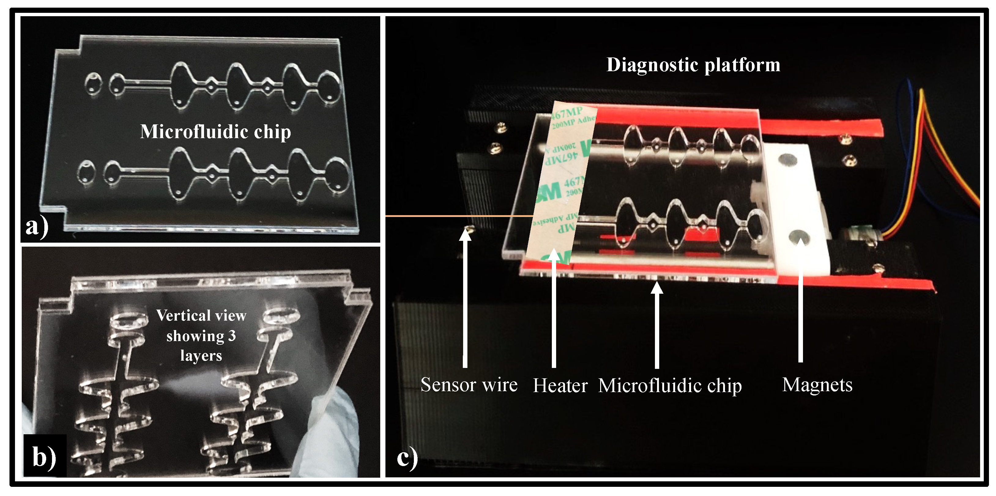 Biosensors 12 00298 g002