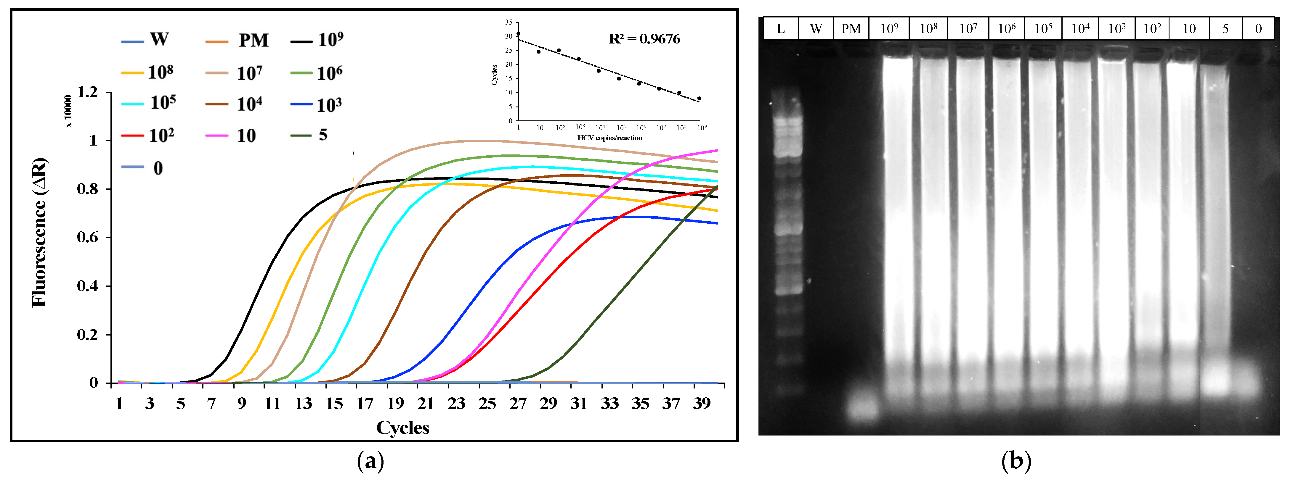 Biosensors 12 00298 g003
