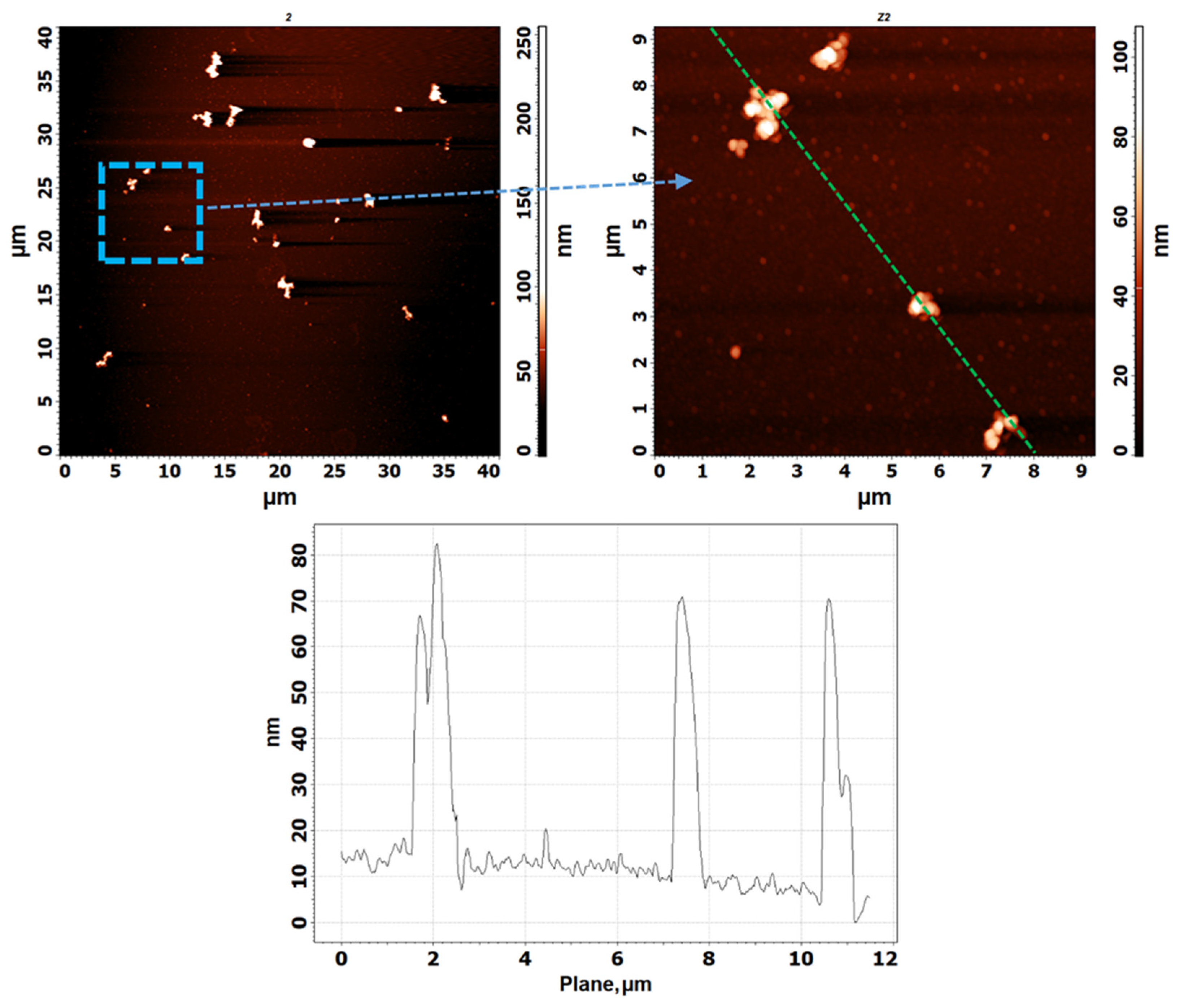 Biosensors 12 00300 g004 550