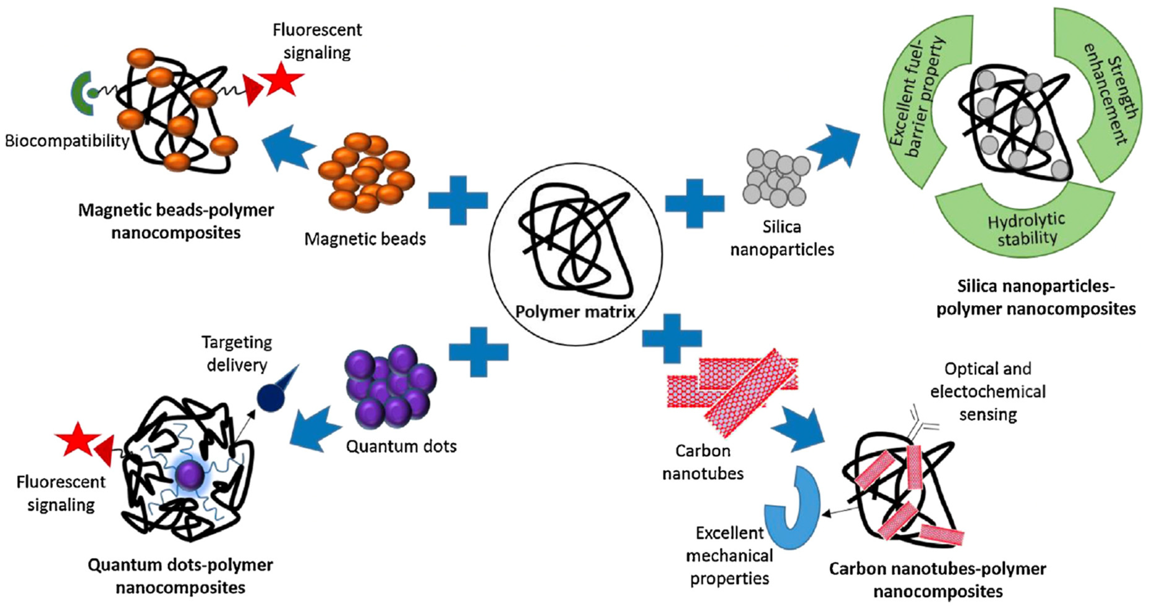 Biosensors 12 00301 g001