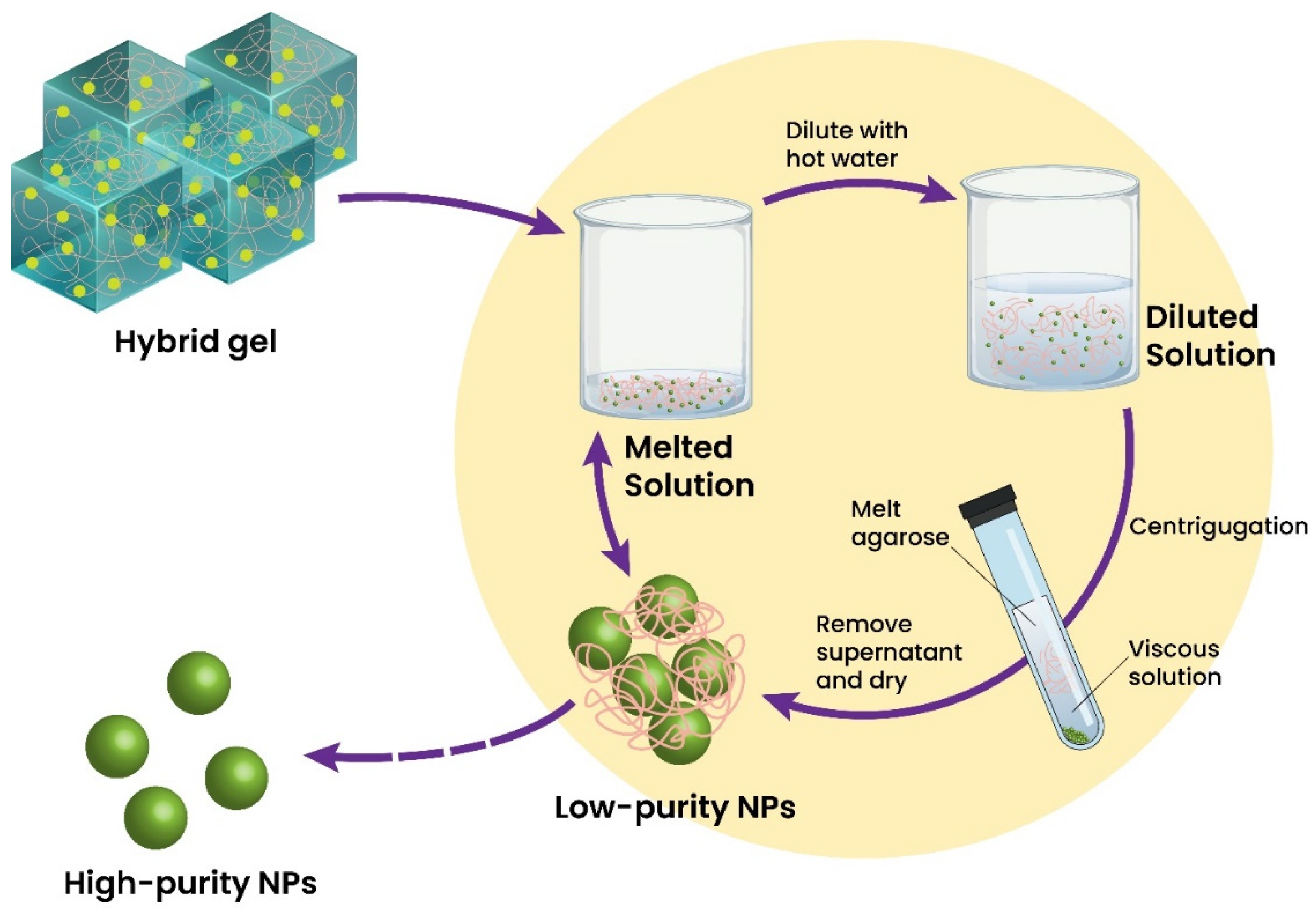 Biosensors 12 00301 g003