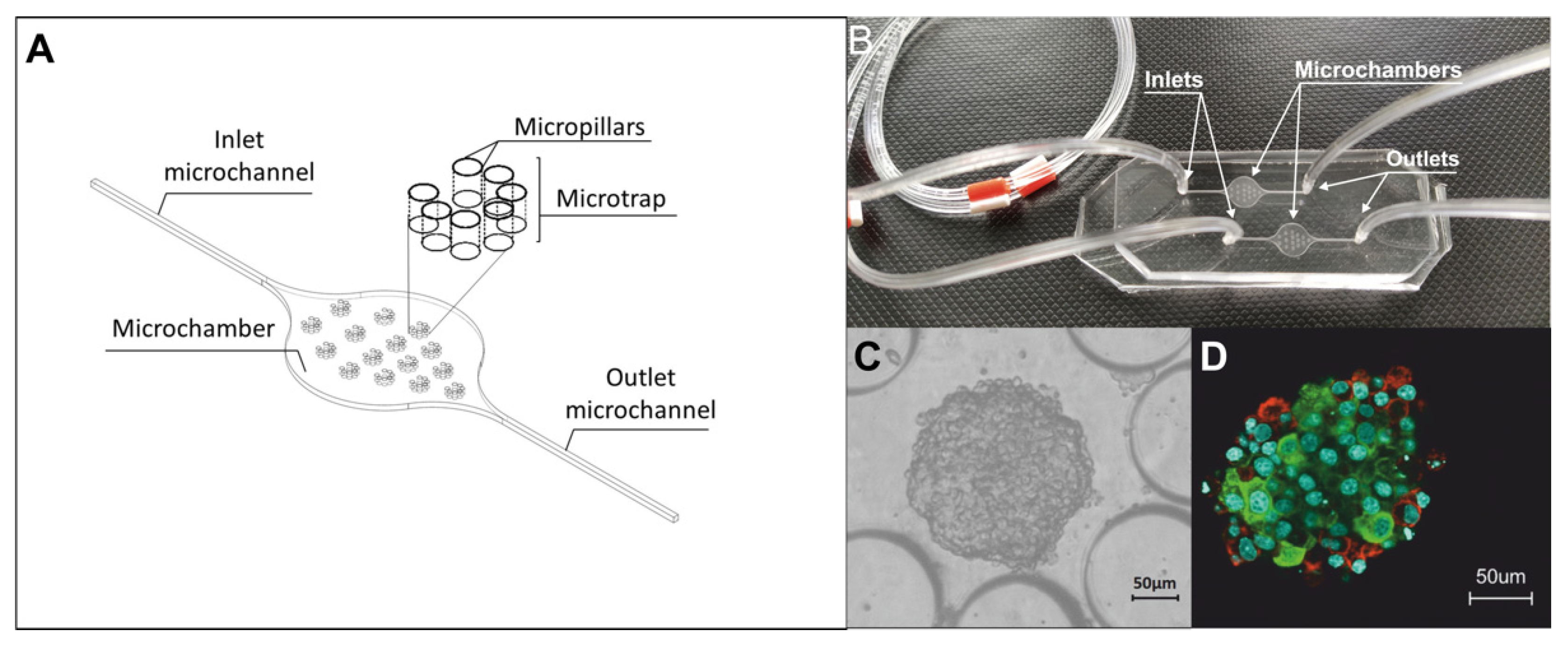 Biosensors 12 00302 g001 Biosensors 12 00302 g001