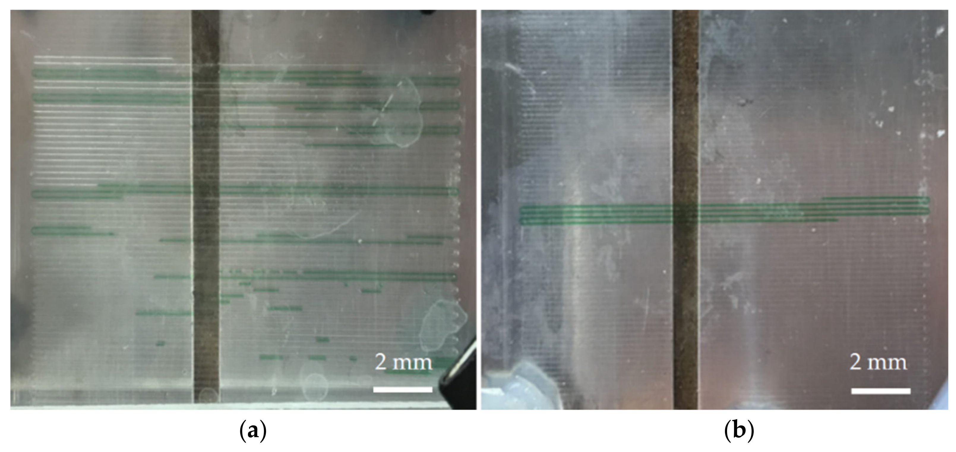 Biosensors 12 00303 g003