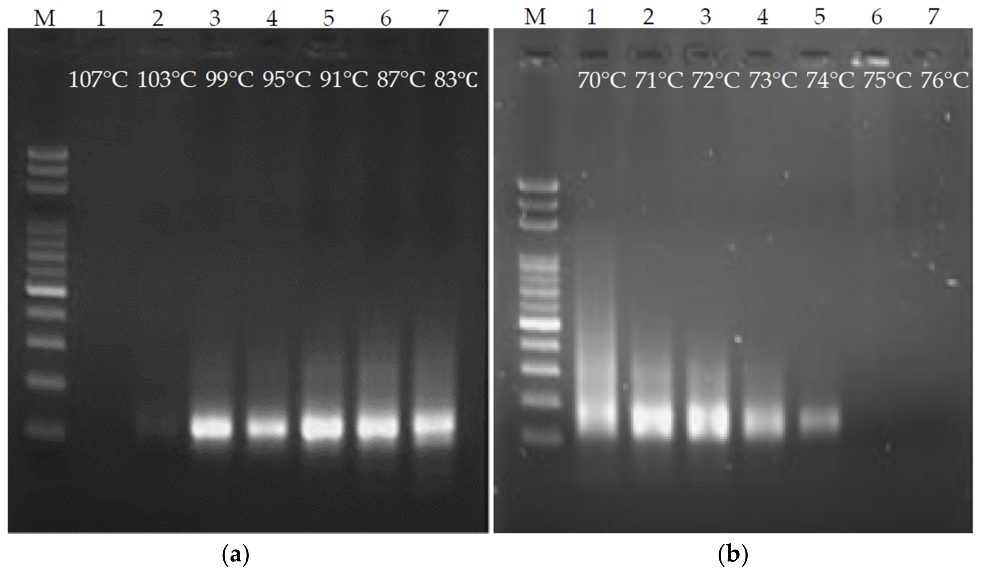 Biosensors 12 00303 g004