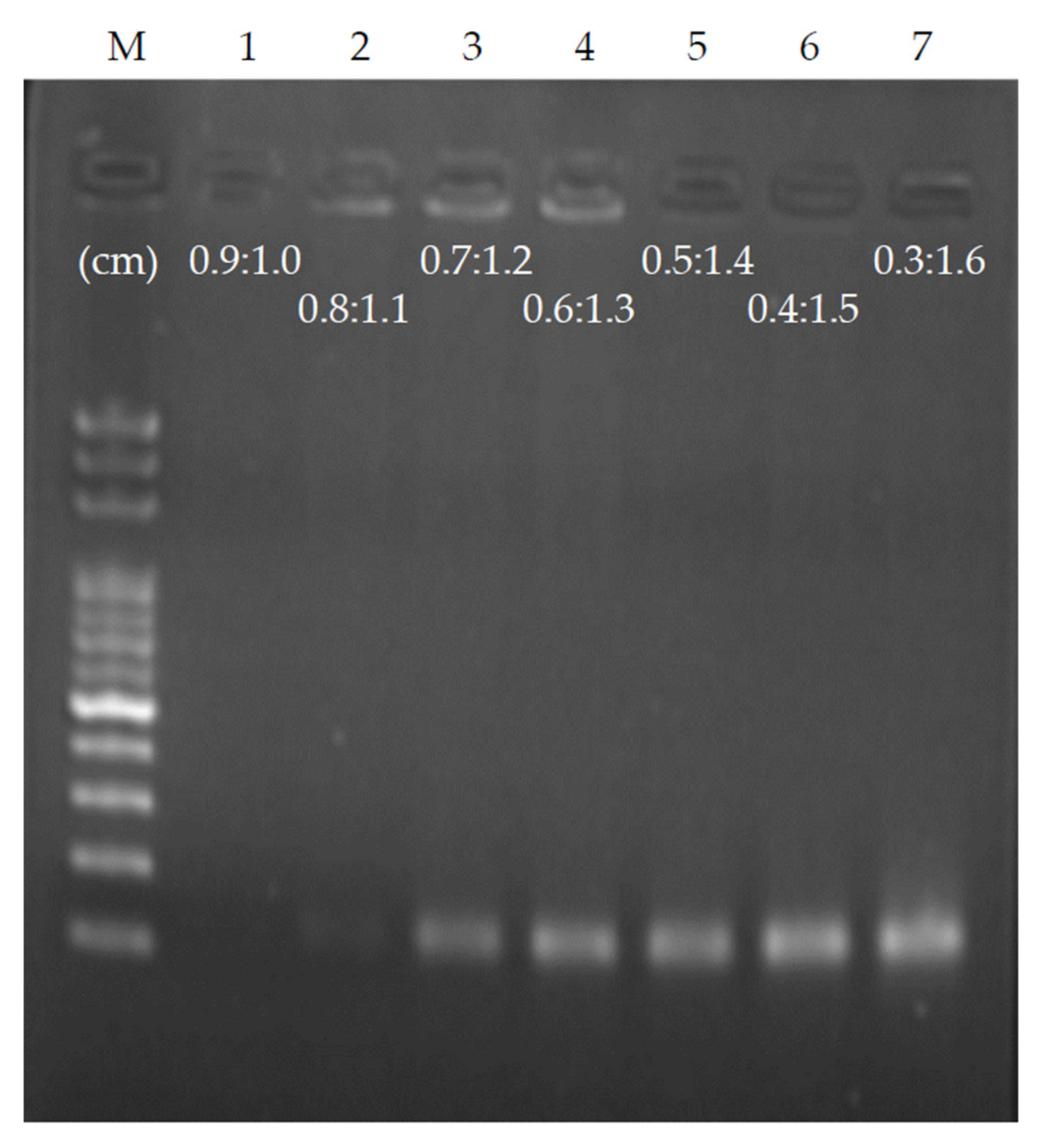 Biosensors 12 00303 g006