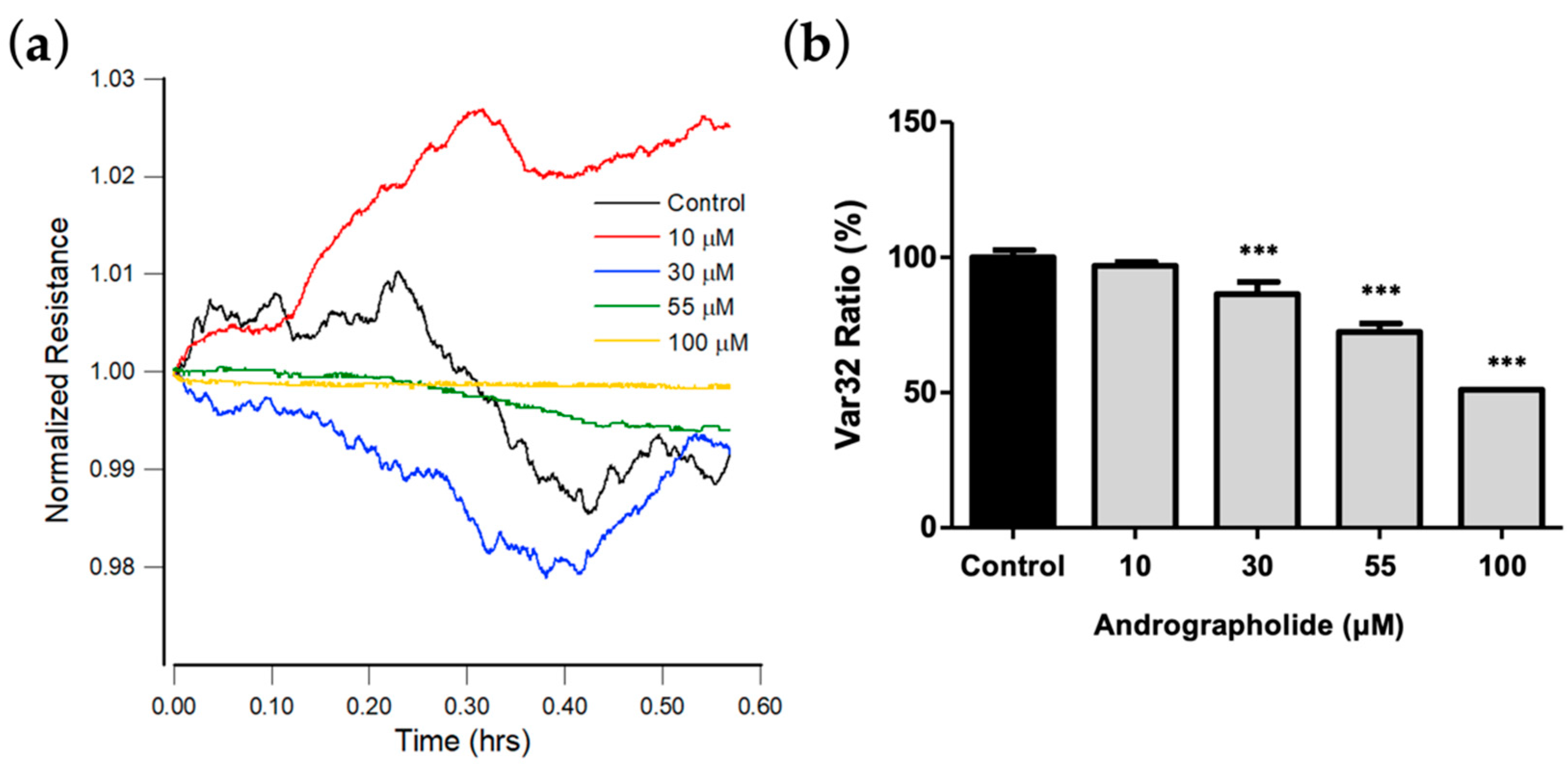 Biosensors 12 00304 g005